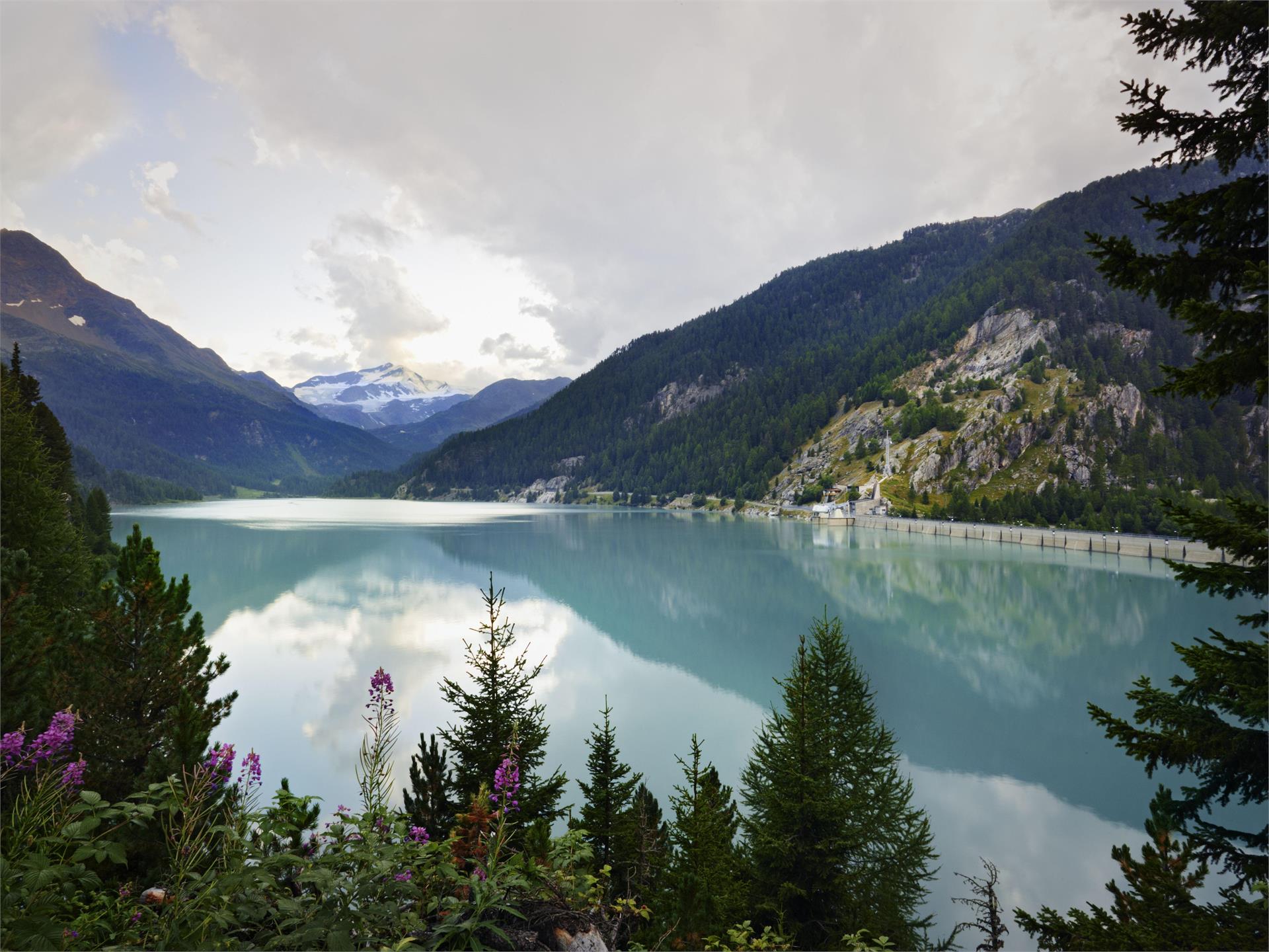 Lake tour in Alta Val Martello Martell/Martello 1 suedtirol.info