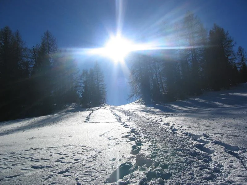 Ciaspolata Lanzenschuster - Giogo di Meltina Meltina 1 suedtirol.info