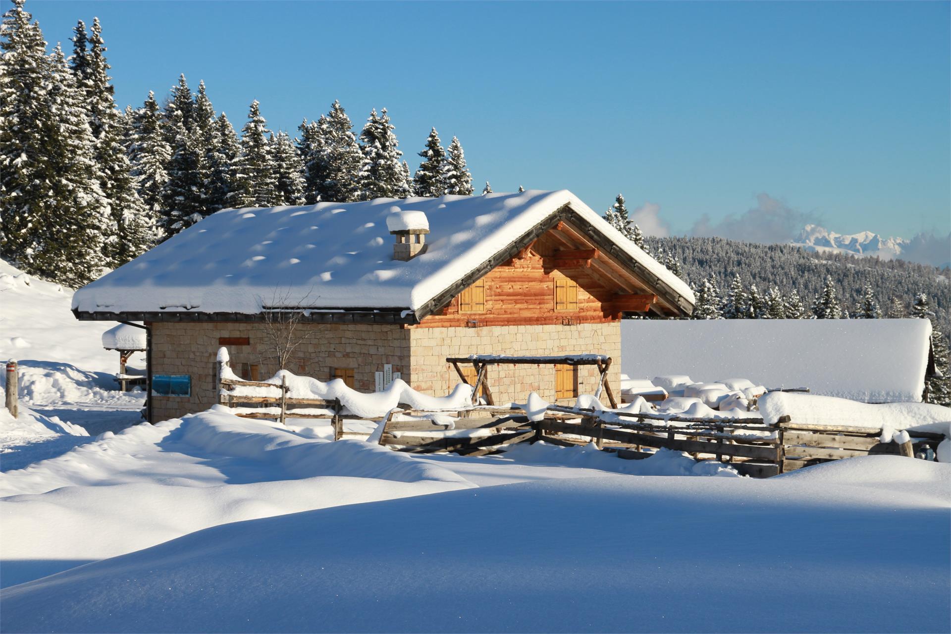 Schneeschuhwandern Lanzenschuster - Möltner Joch Mölten 2 suedtirol.info