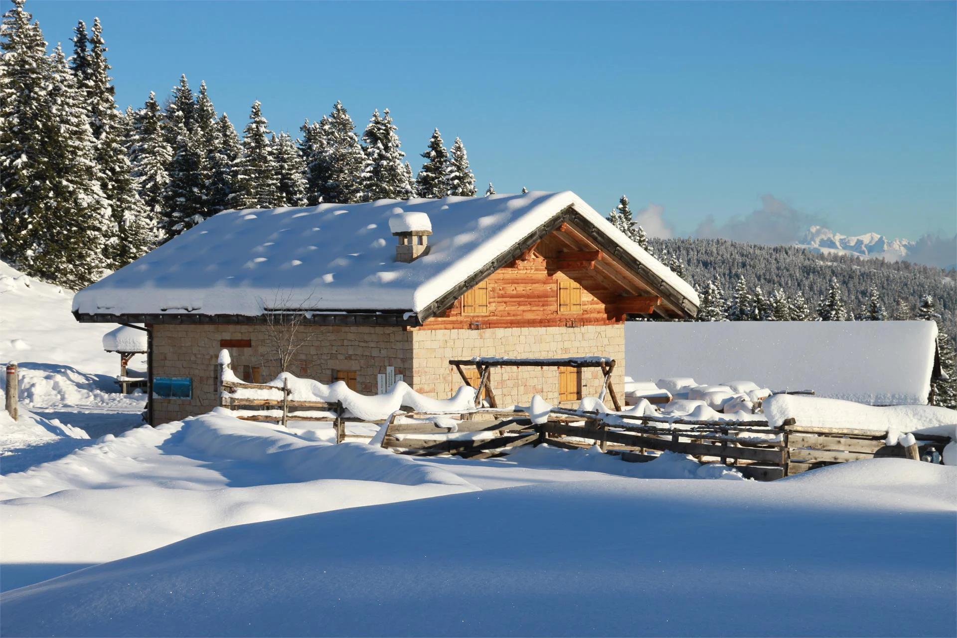 Ciaspolata Lanzenschuster - Giogo di Meltina Meltina 2 suedtirol.info