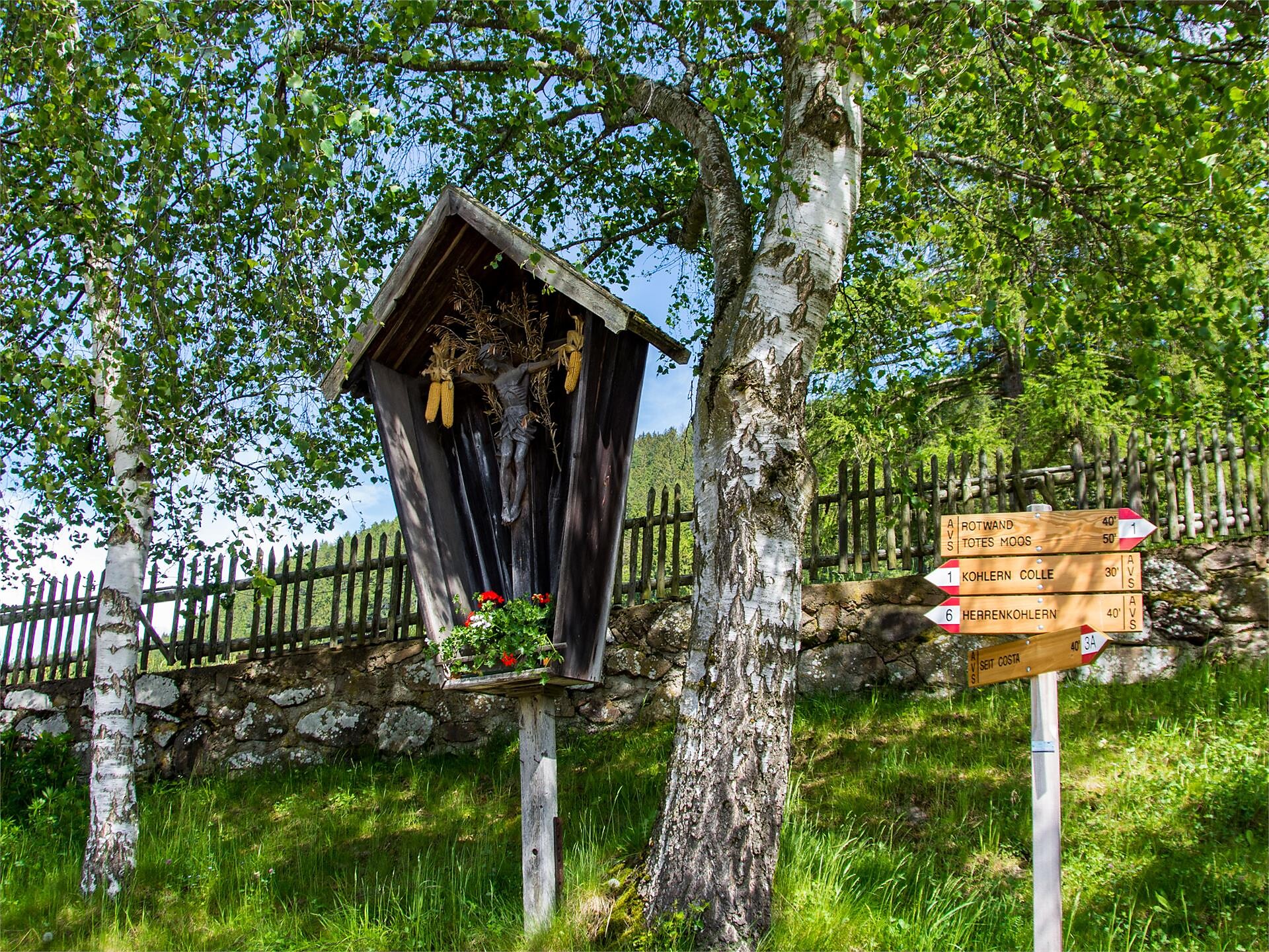 Hike around La Costa/Seit Laives/Leifers 1 suedtirol.info