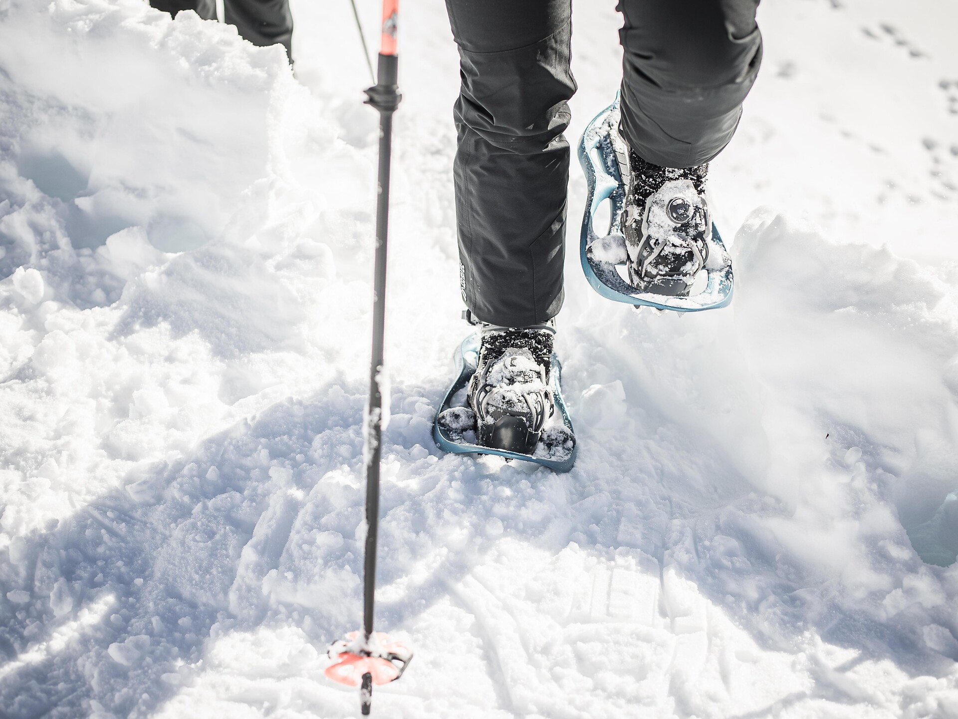 Schneeschuhwanderung zur Starklalm - Ahrntal - #1 - suedtirol.info