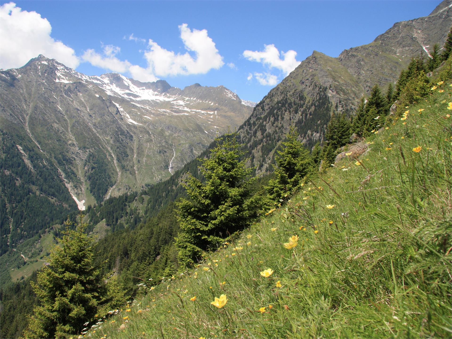 Sunrise tour on the Merano High Trail, Hohe Wiege - Nasereit refuge - Partschins Waterfall Partschins/Parcines 6 suedtirol.info