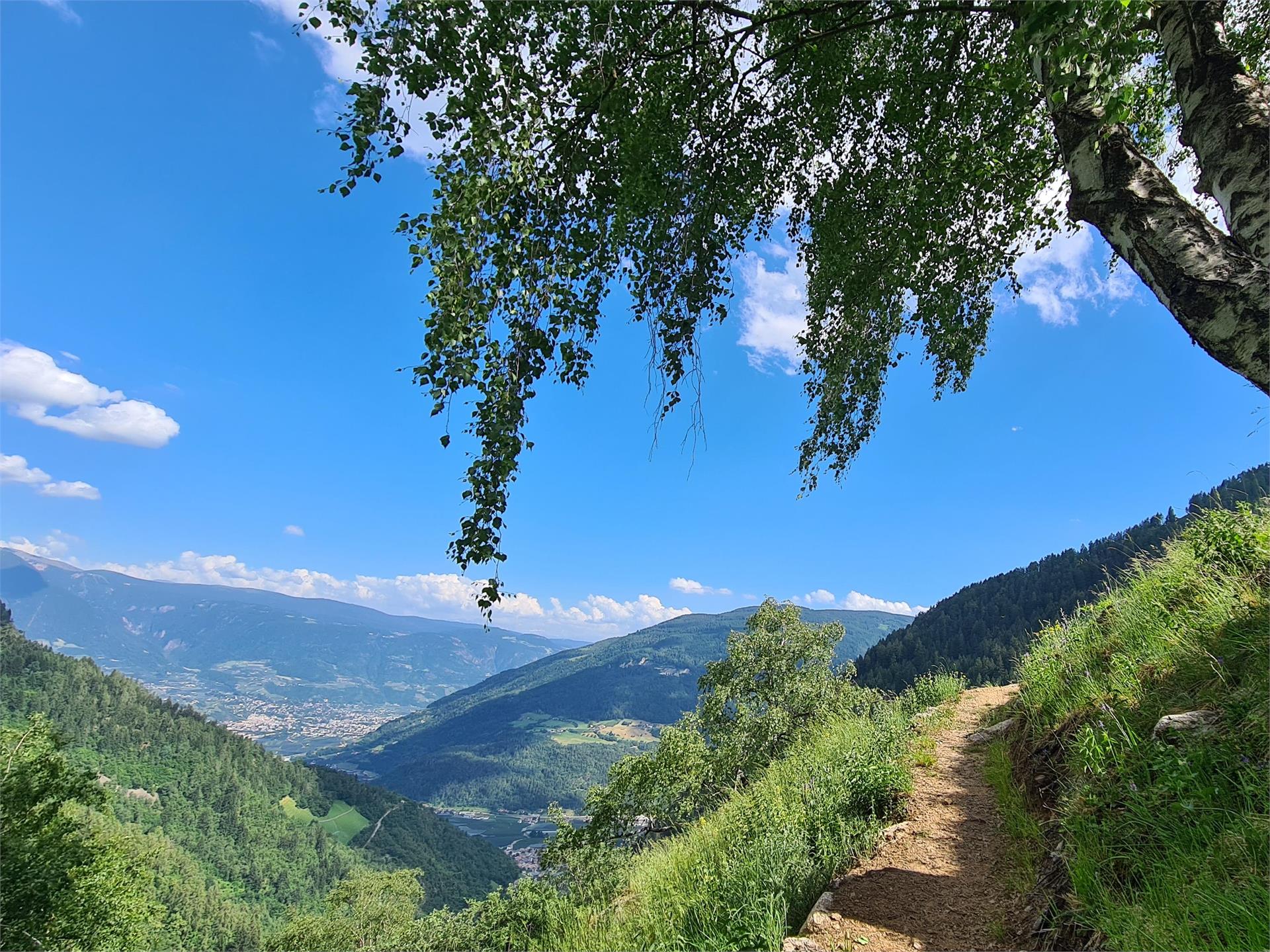 Sunrise tour on the Merano High Trail, Hohe Wiege - Nasereit refuge - Partschins Waterfall Partschins/Parcines 18 suedtirol.info