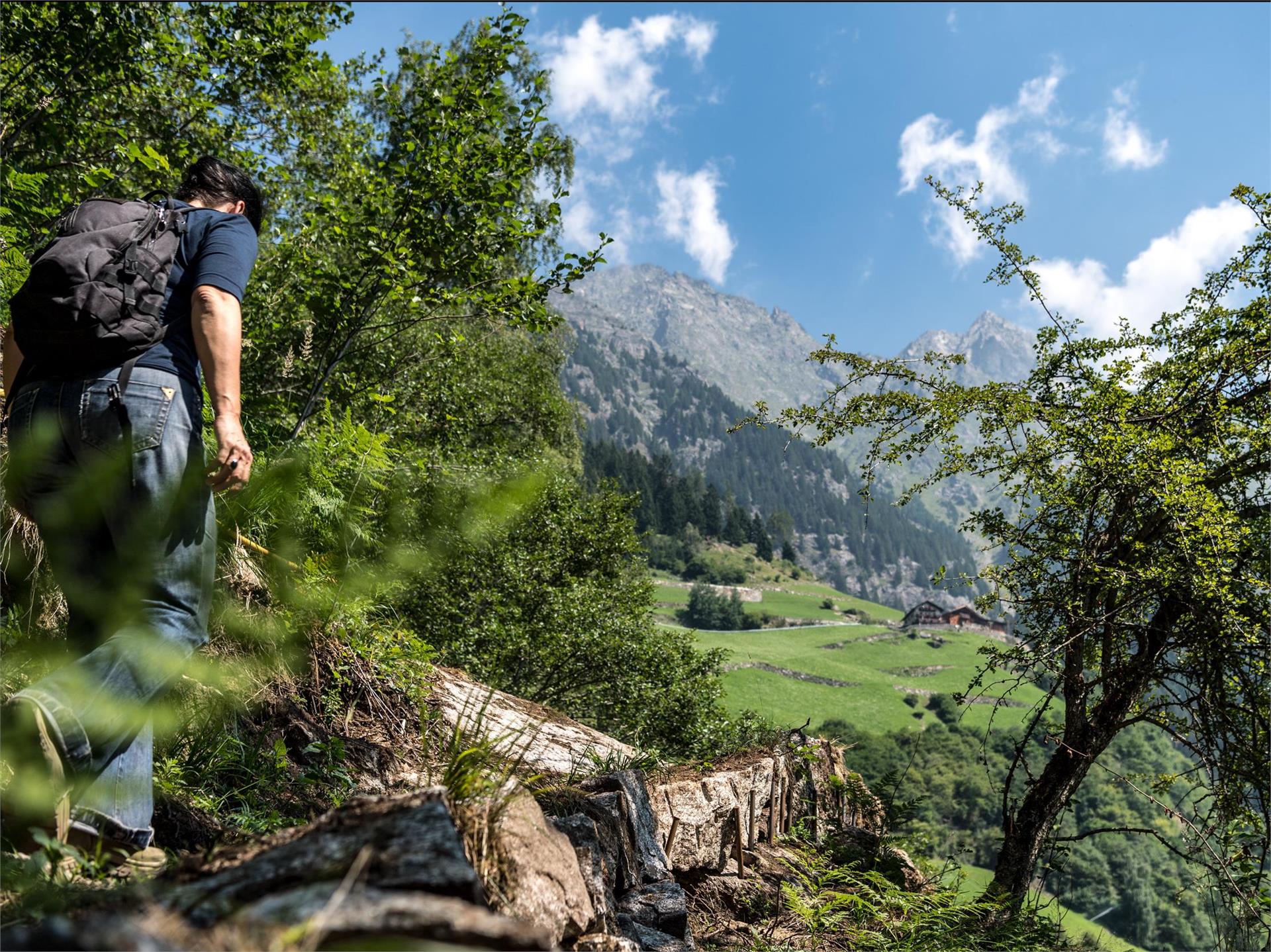 Sunrise tour on the Merano High Trail, Hohe Wiege - Nasereit refuge - Partschins Waterfall Partschins/Parcines 11 suedtirol.info
