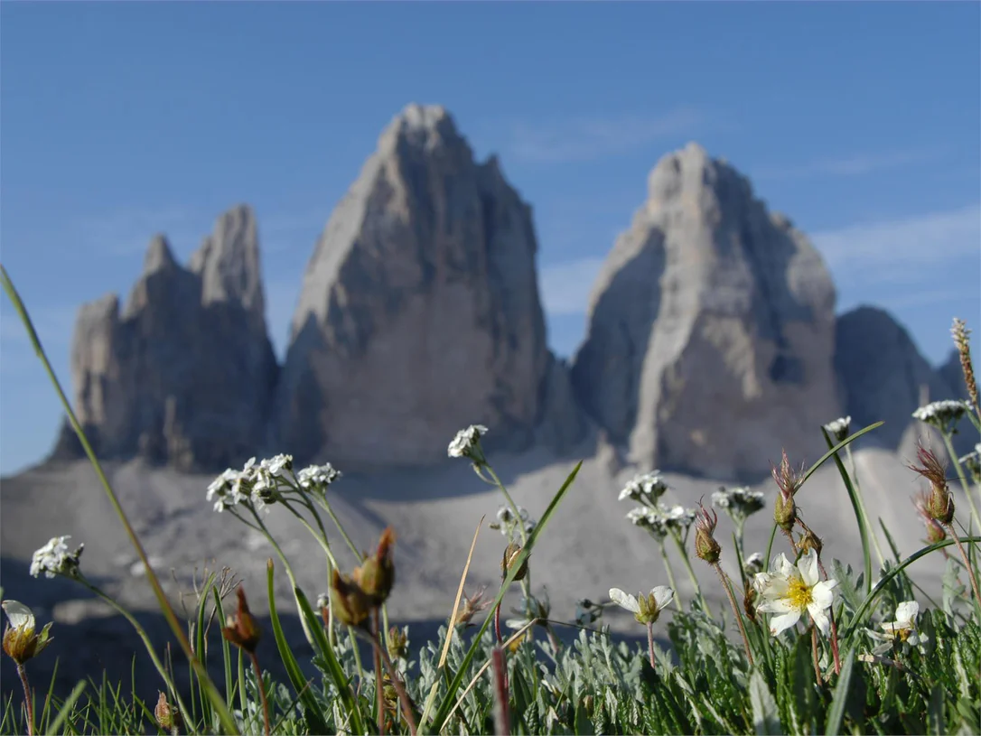 Circuito estivo: Tre Cime di Lavaredo