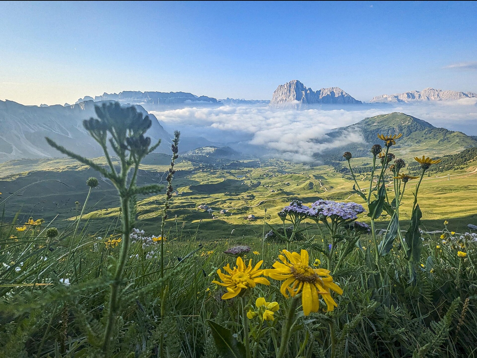 Seceda