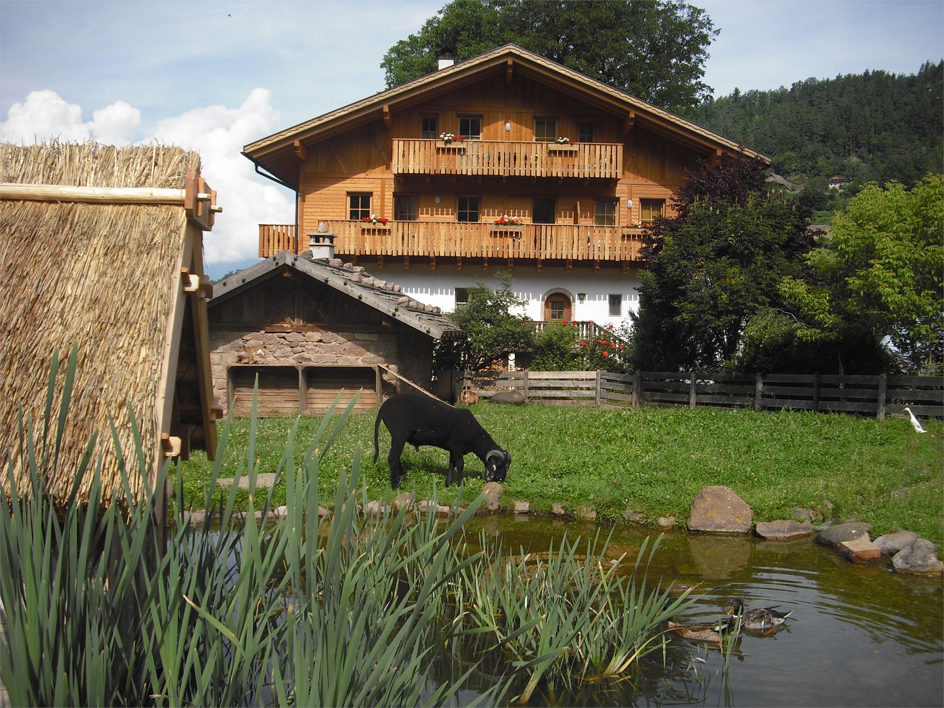 Spielplatz Schlaneid - Bacherhof Mölten 2 suedtirol.info