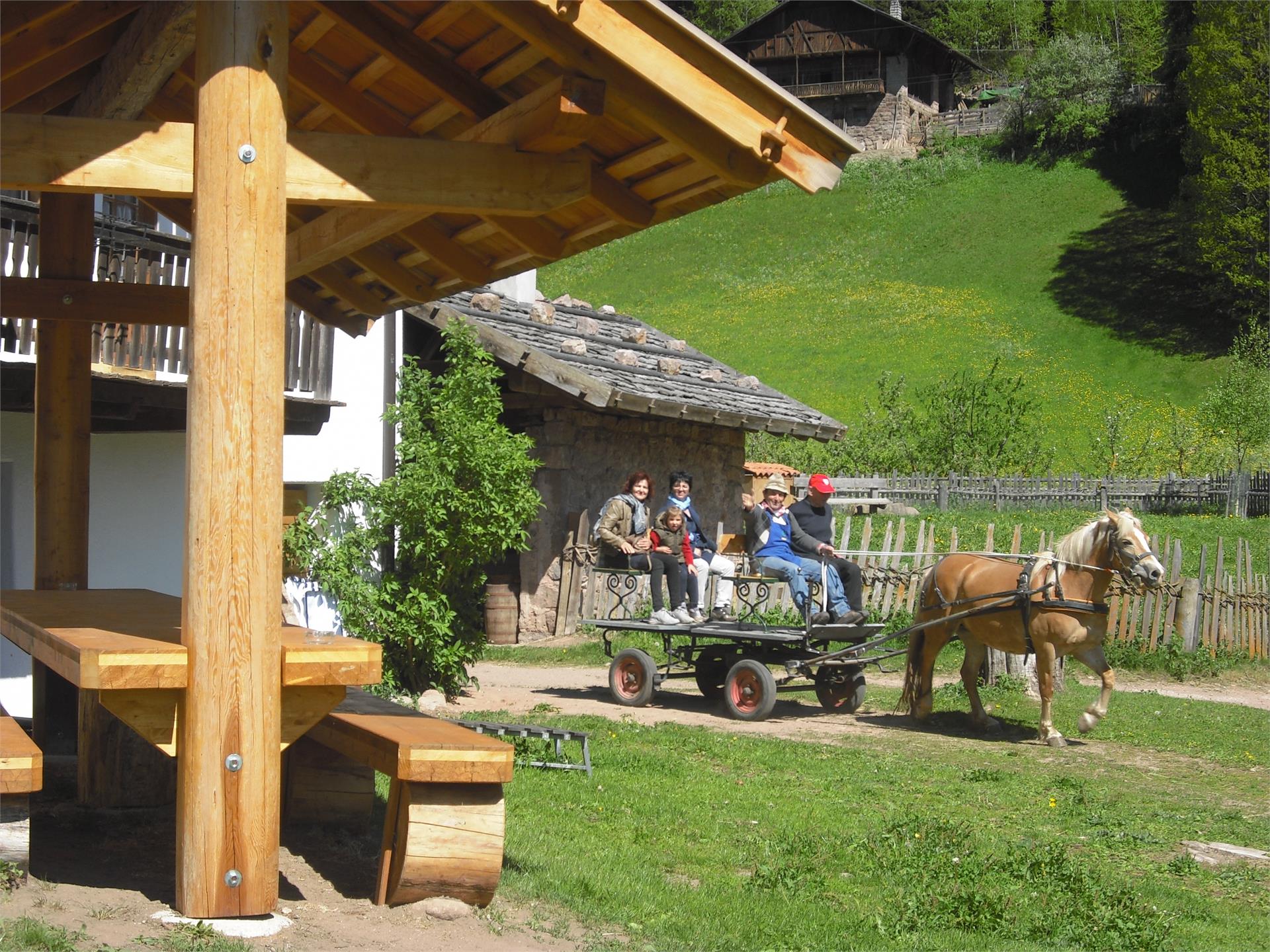 Spielplatz Schlaneid - Bacherhof Mölten 1 suedtirol.info
