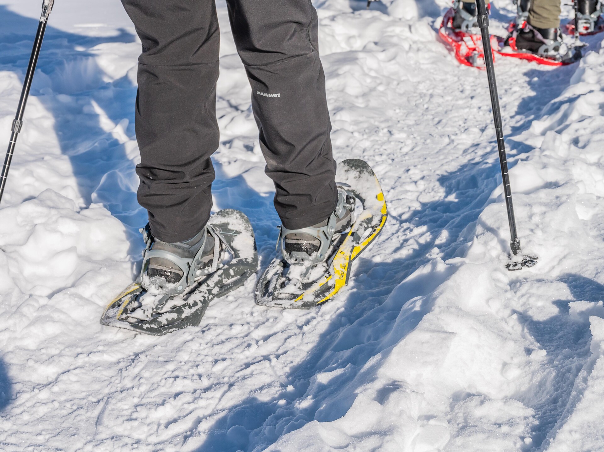 Snowshoeing at Sorafurcia/Geiselsberg - Dolomites Region Kronplatz/Plan de Corones - #1 - suedtirol.info