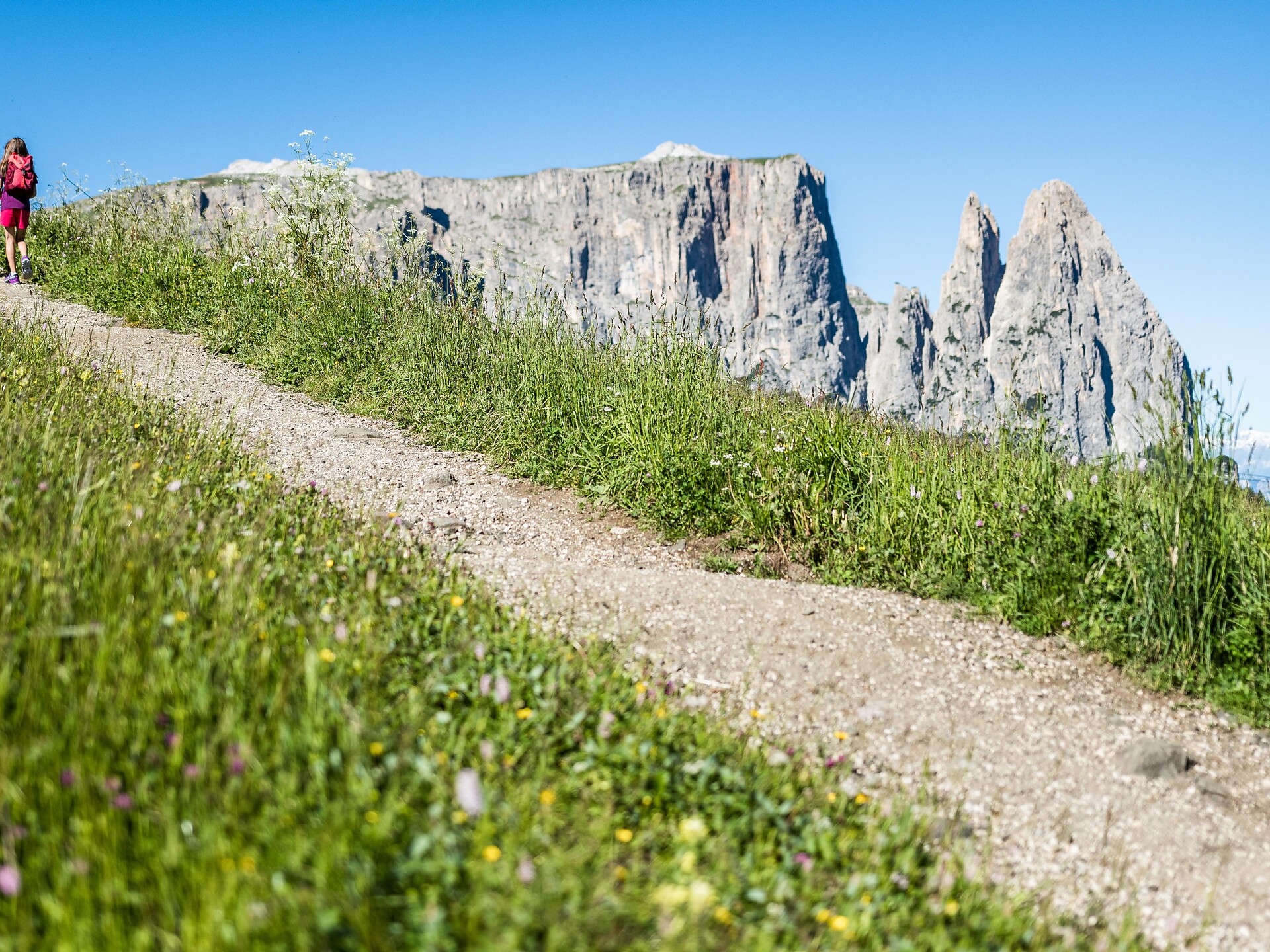Spitzbühl-Tschapit-Runde Kastelruth 3 suedtirol.info