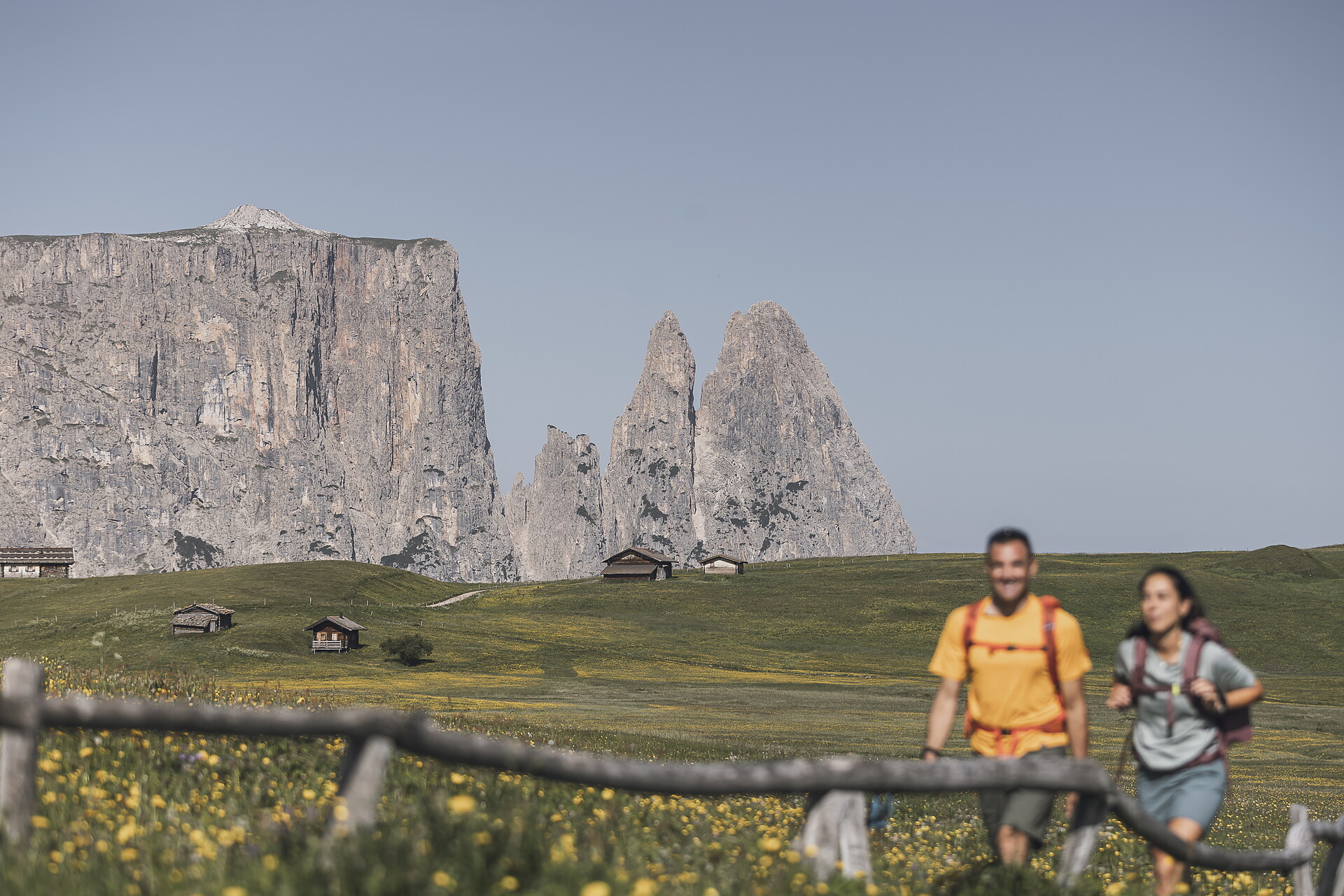 Spitzbühl-Tschapit-Runde - Dolomitenregion Seiser Alm - #1 - suedtirol.info