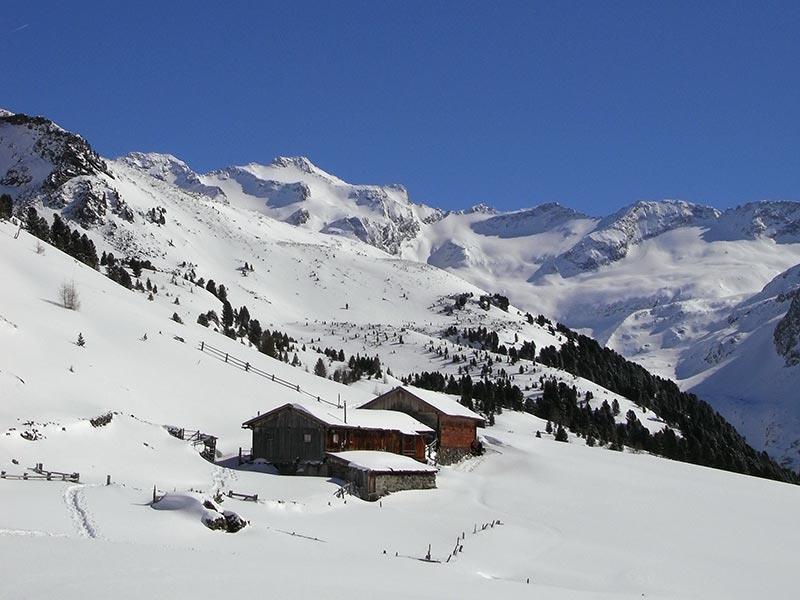 Snowshoe hike Malga Kofler/Kofleralm Alpine Farm Ahrntal/Valle Aurina 1 suedtirol.info