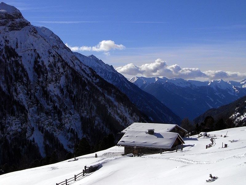 Snowshoe hike Malga Kofler/Kofleralm Alpine Farm Ahrntal/Valle Aurina 3 suedtirol.info