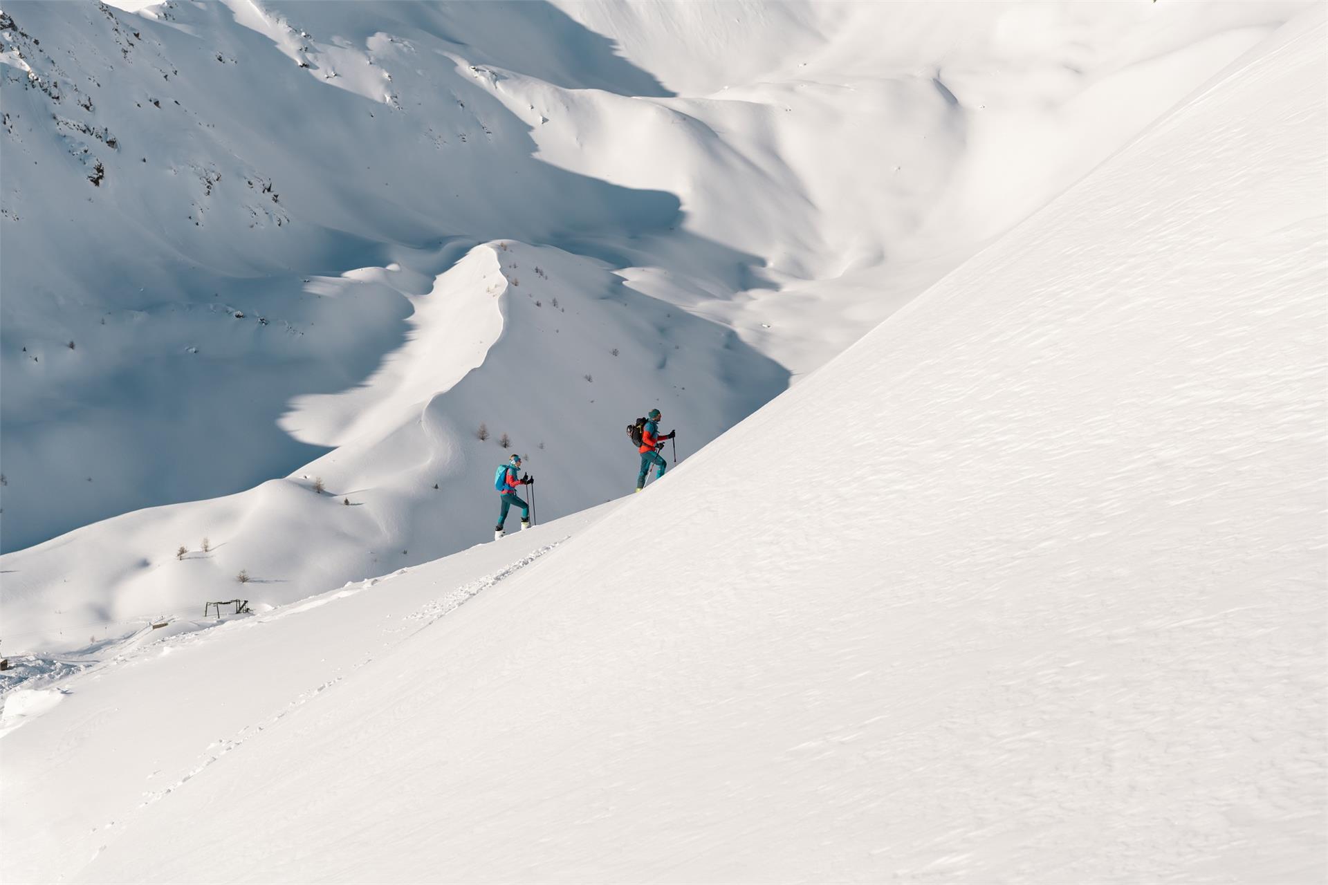 Sci alpinismo alla Cima Tuckett Stelvio 1 suedtirol.info