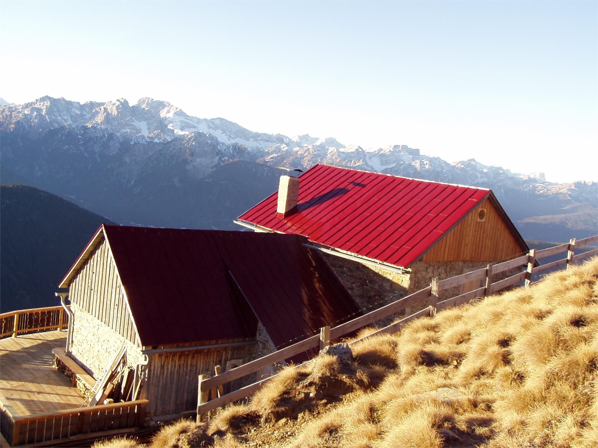 Summer-walk around the Bonner hut Innichen/San Candido 2 suedtirol.info