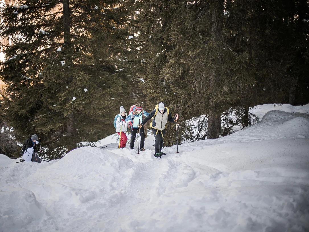 Snowshoe Hiking tour to the Samhütte huts