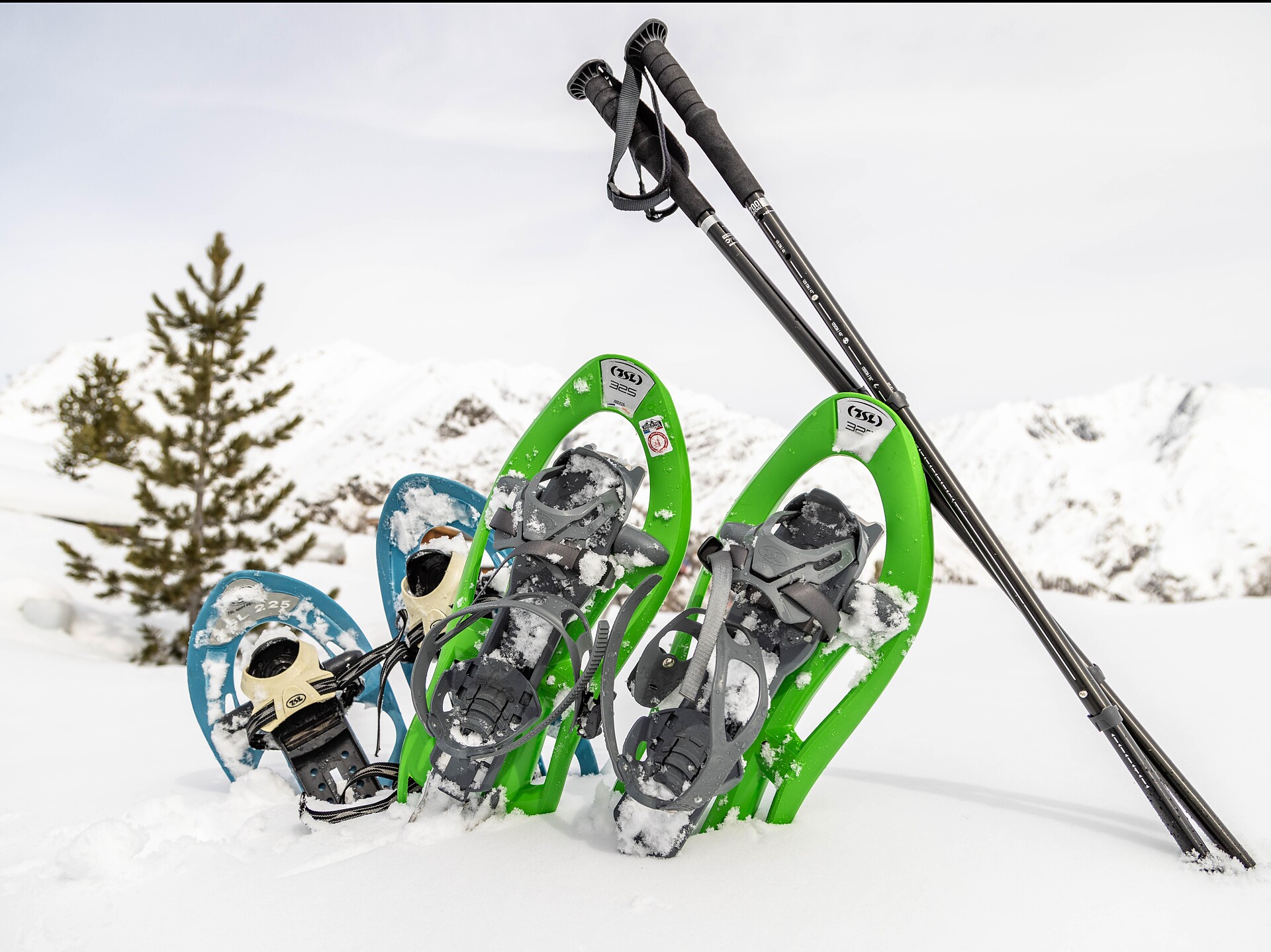 Snow Shoe Trail mountain pasture Klosteralm - Vinschgau/Val Venosta - #3 - suedtirol.info