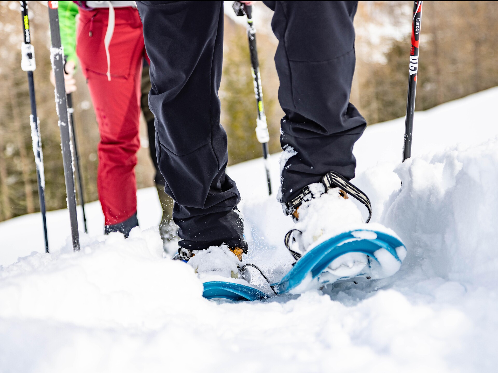 Snow Shoe Trail mountain pasture Klosteralm - Vinschgau/Val Venosta - #1 - suedtirol.info