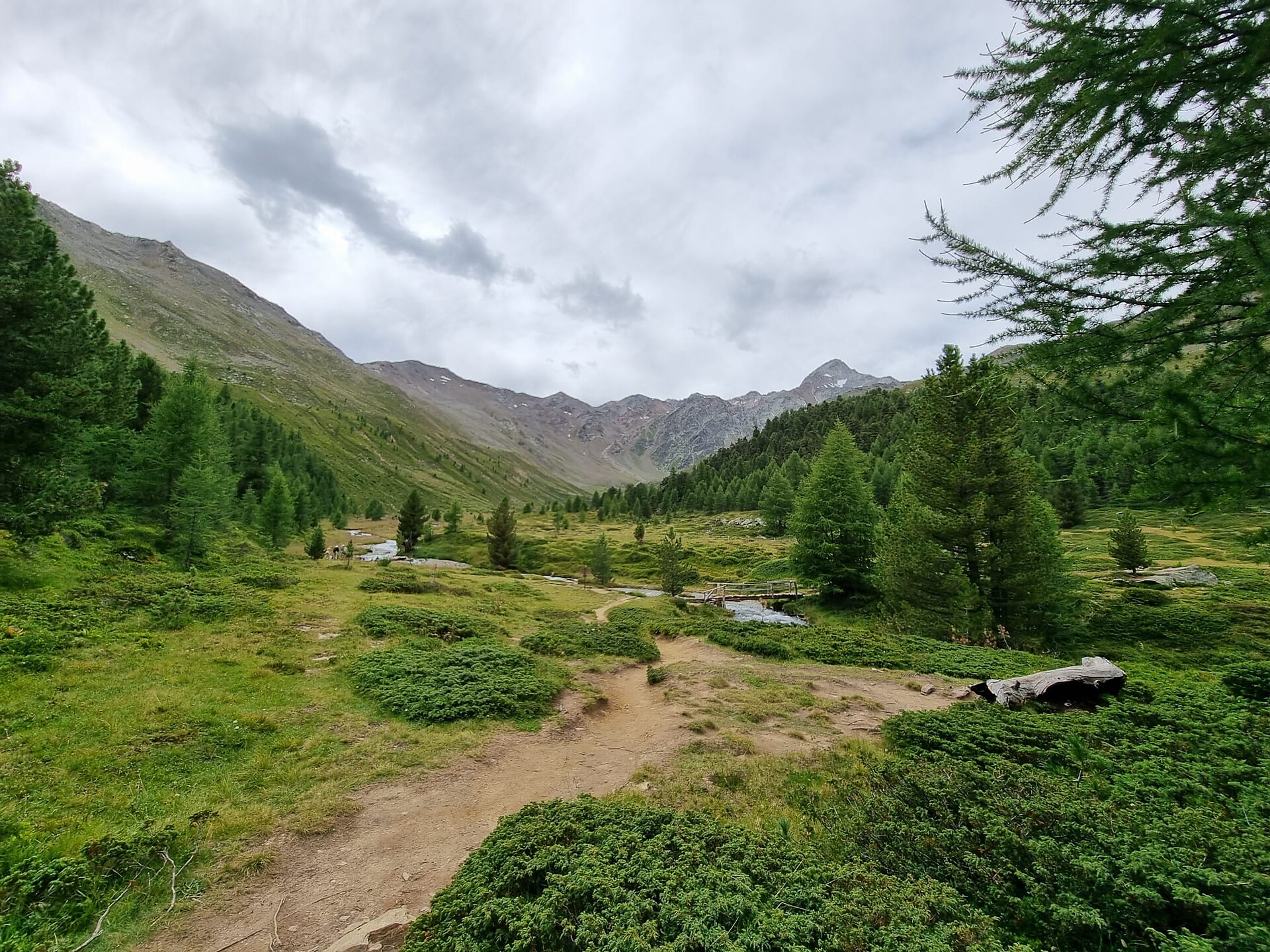 Trailrun