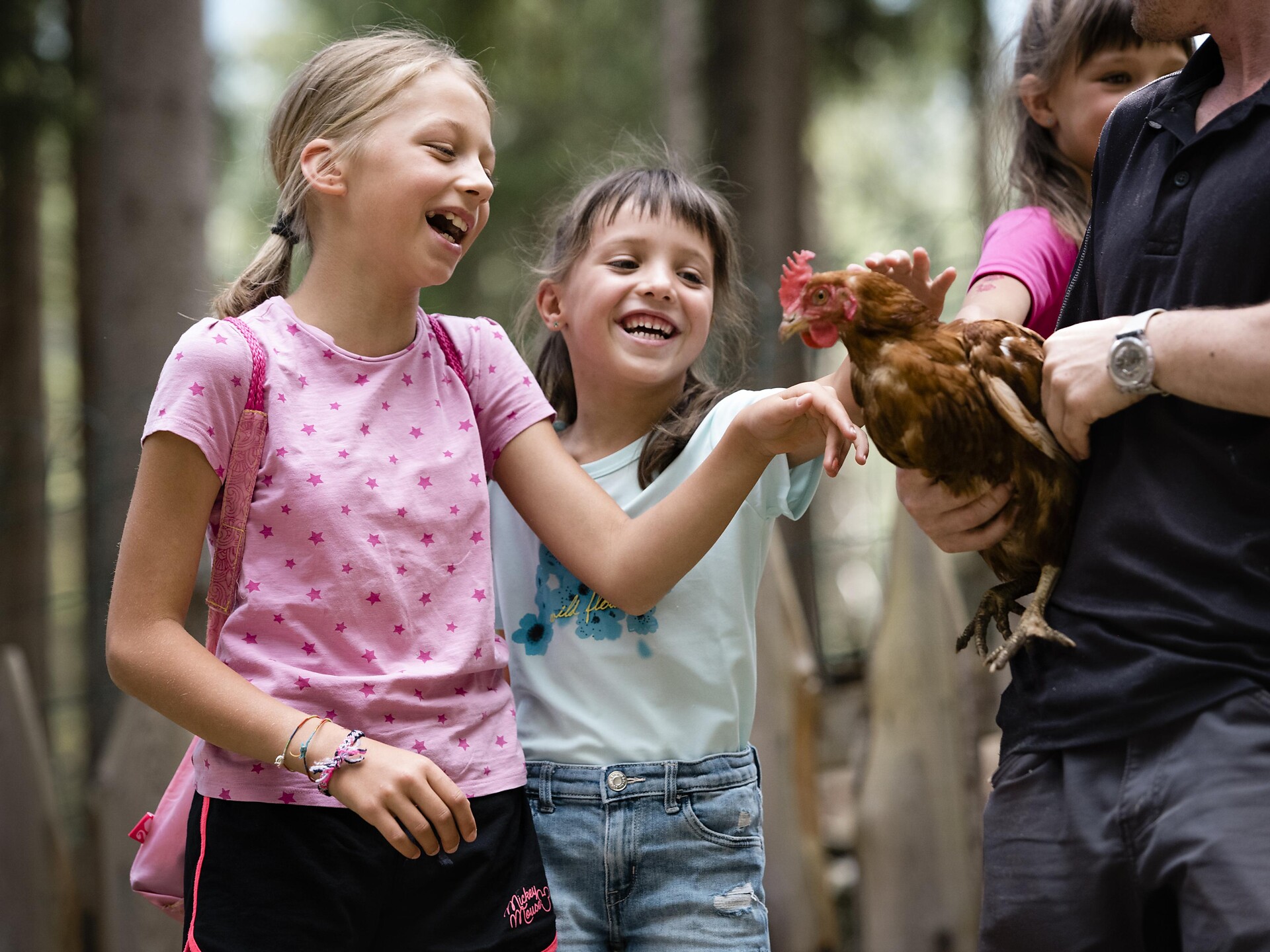Animal park - Dolomites Region Alta Badia - #3 - suedtirol.info