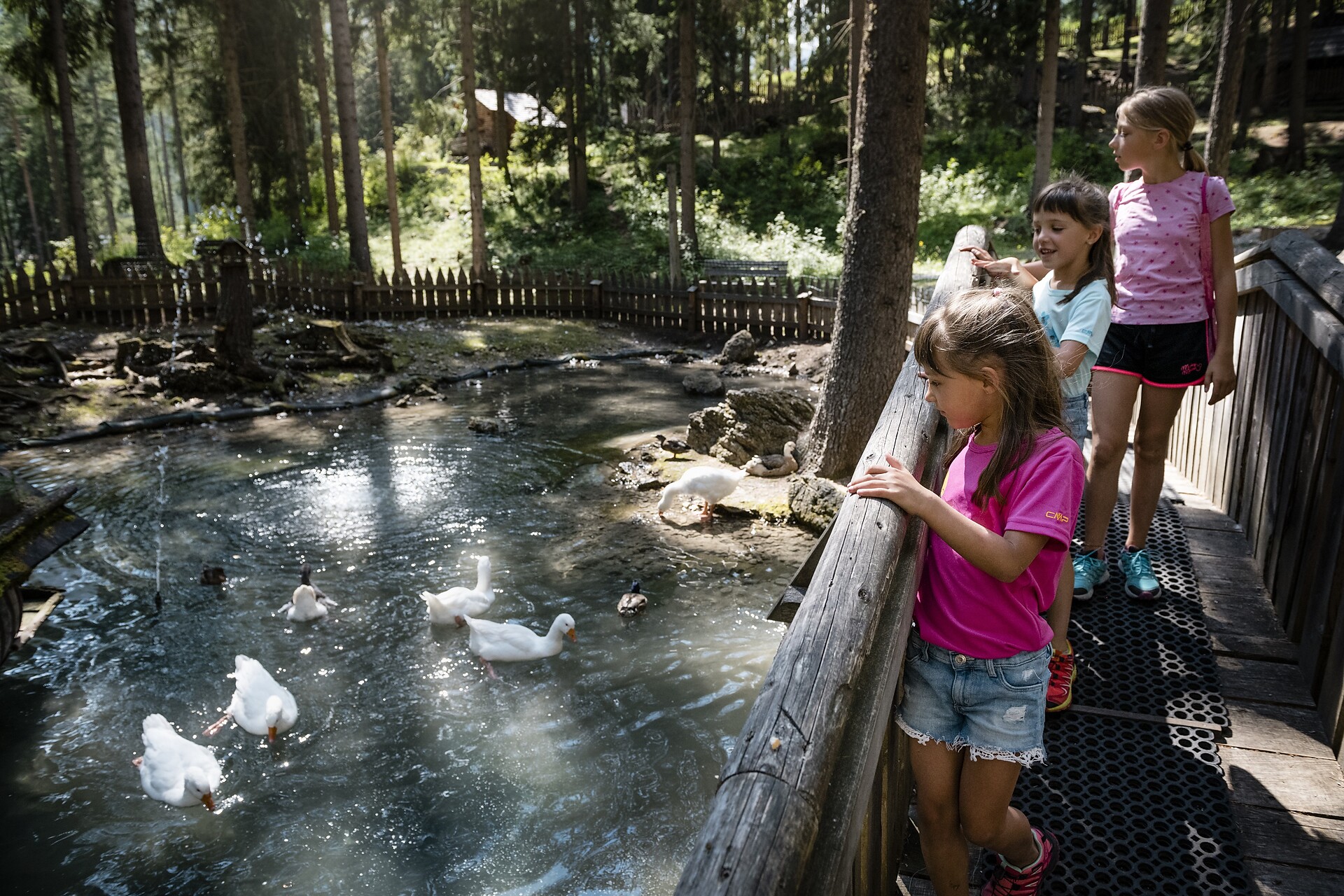 Animal park - Dolomites Region Alta Badia - #2 - suedtirol.info