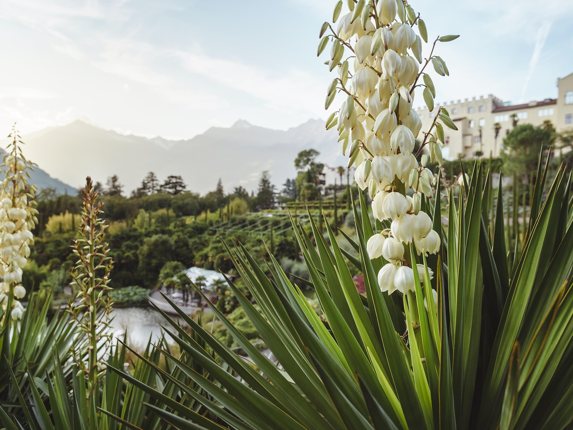 Tour ai Giardini di Castel Trauttmansdorff - Merano e dintorni - #2 - suedtirol.info