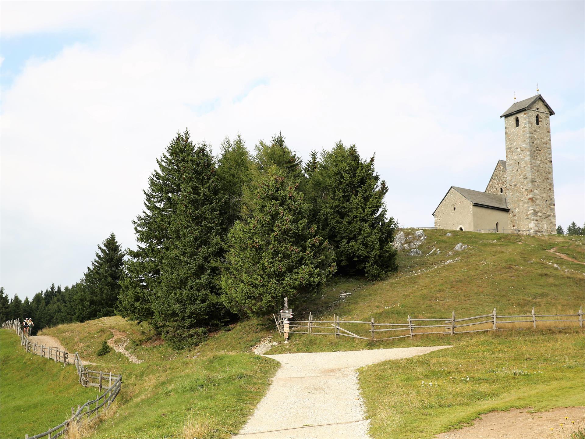 Sentiero "Terrainkur" n° 1 - Sentiero circolare Rio Lagundo – Monte San Vigilio – Rio Lagundo Lagundo 5 suedtirol.info