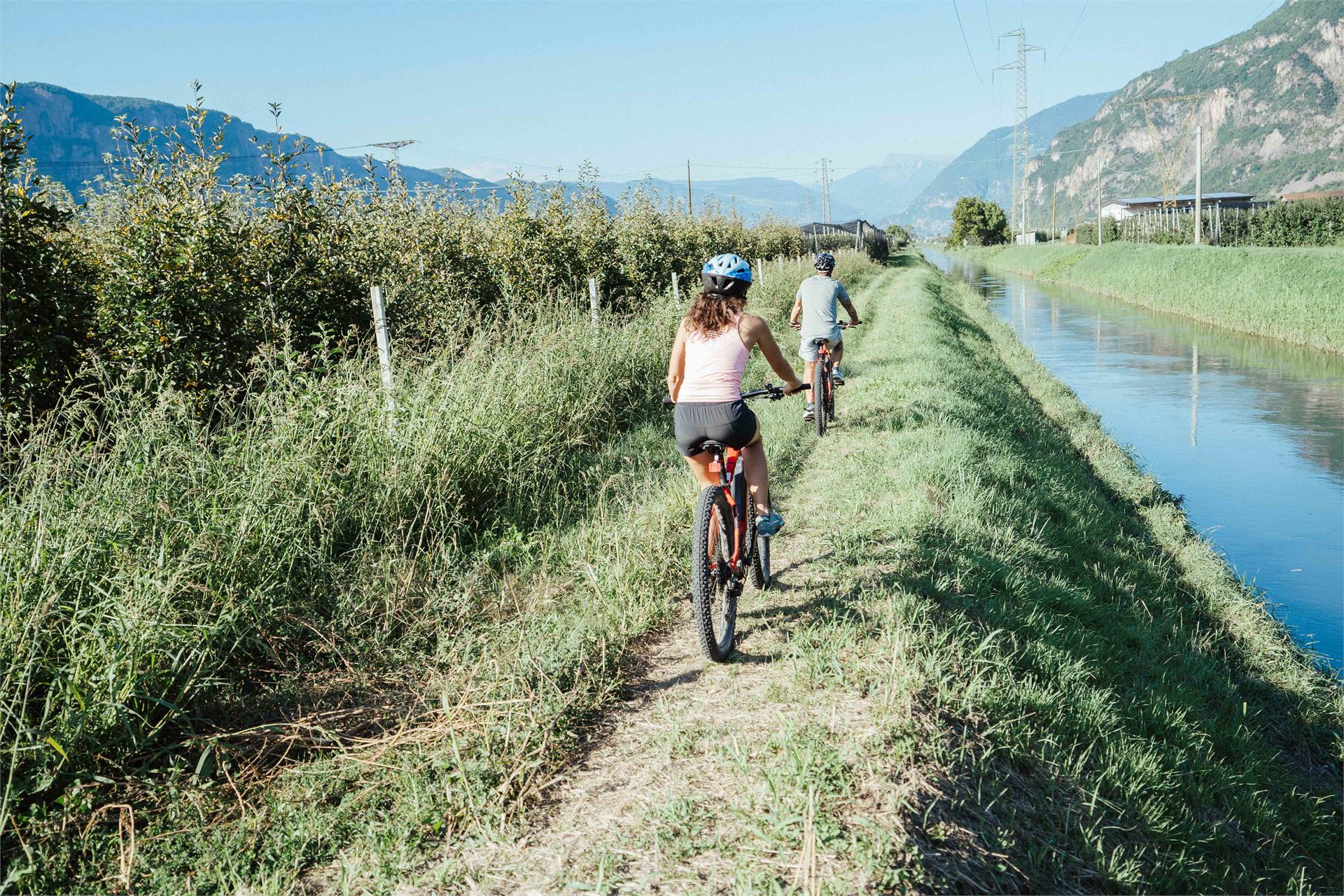 Tour zum Gardasee  4 suedtirol.info