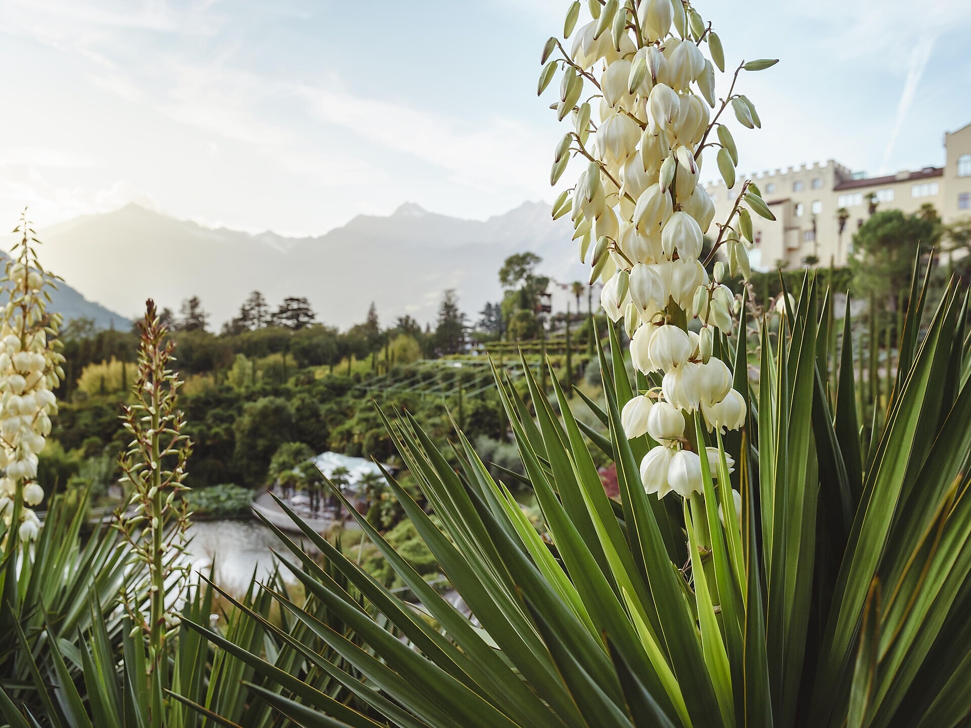 Tour Trauttmansdorff - Merano -  - #1 - suedtirol.info