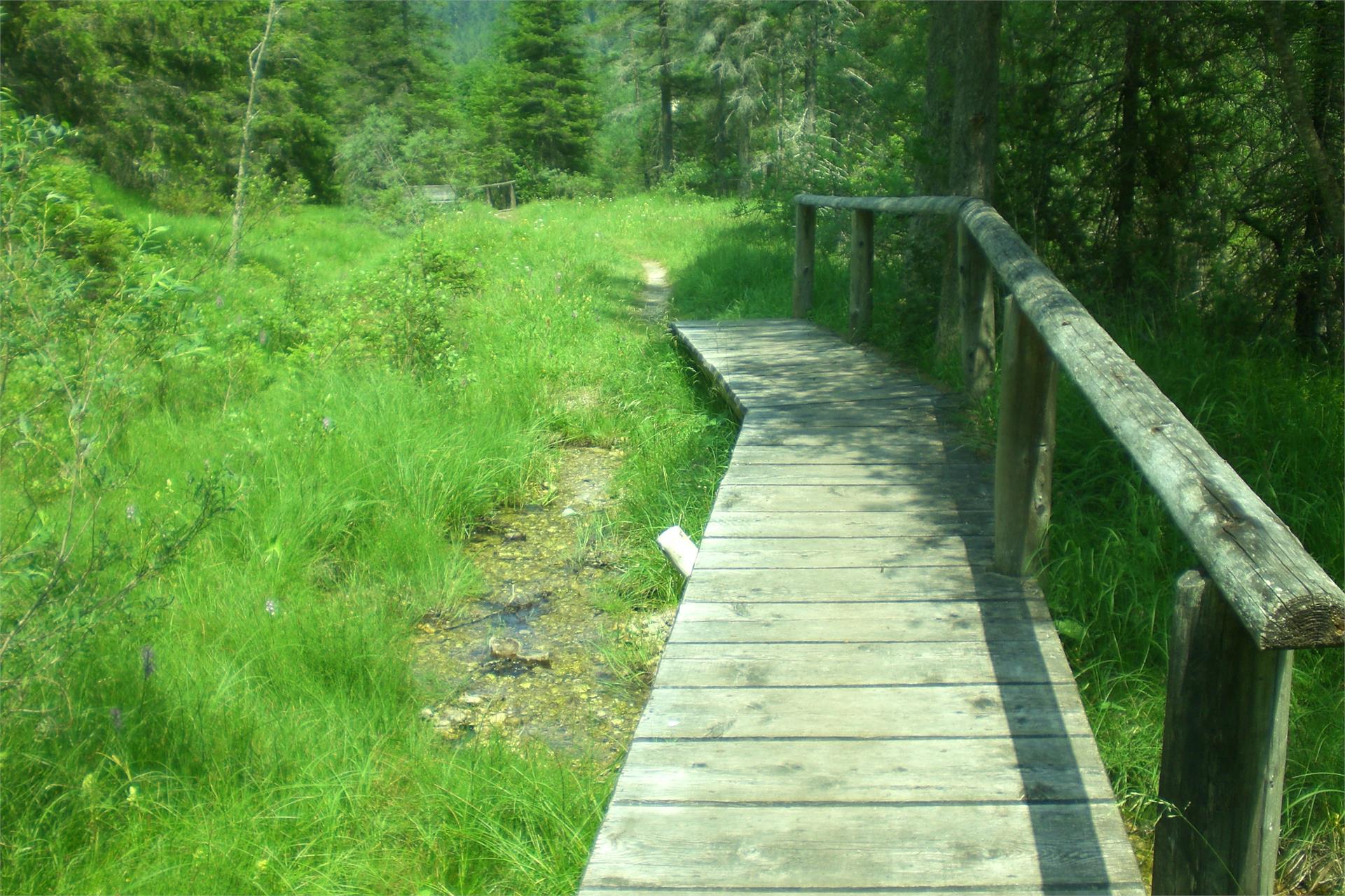 Themenweg: Quellenweg "Maite" Prags 2 suedtirol.info