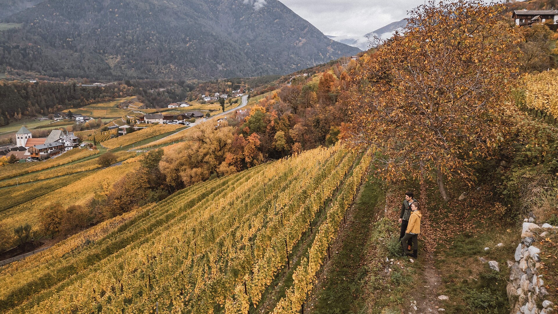 Törggele-Rundweg in Neustift-Brixen - Brixen und Umgebung - #3 - suedtirol.info