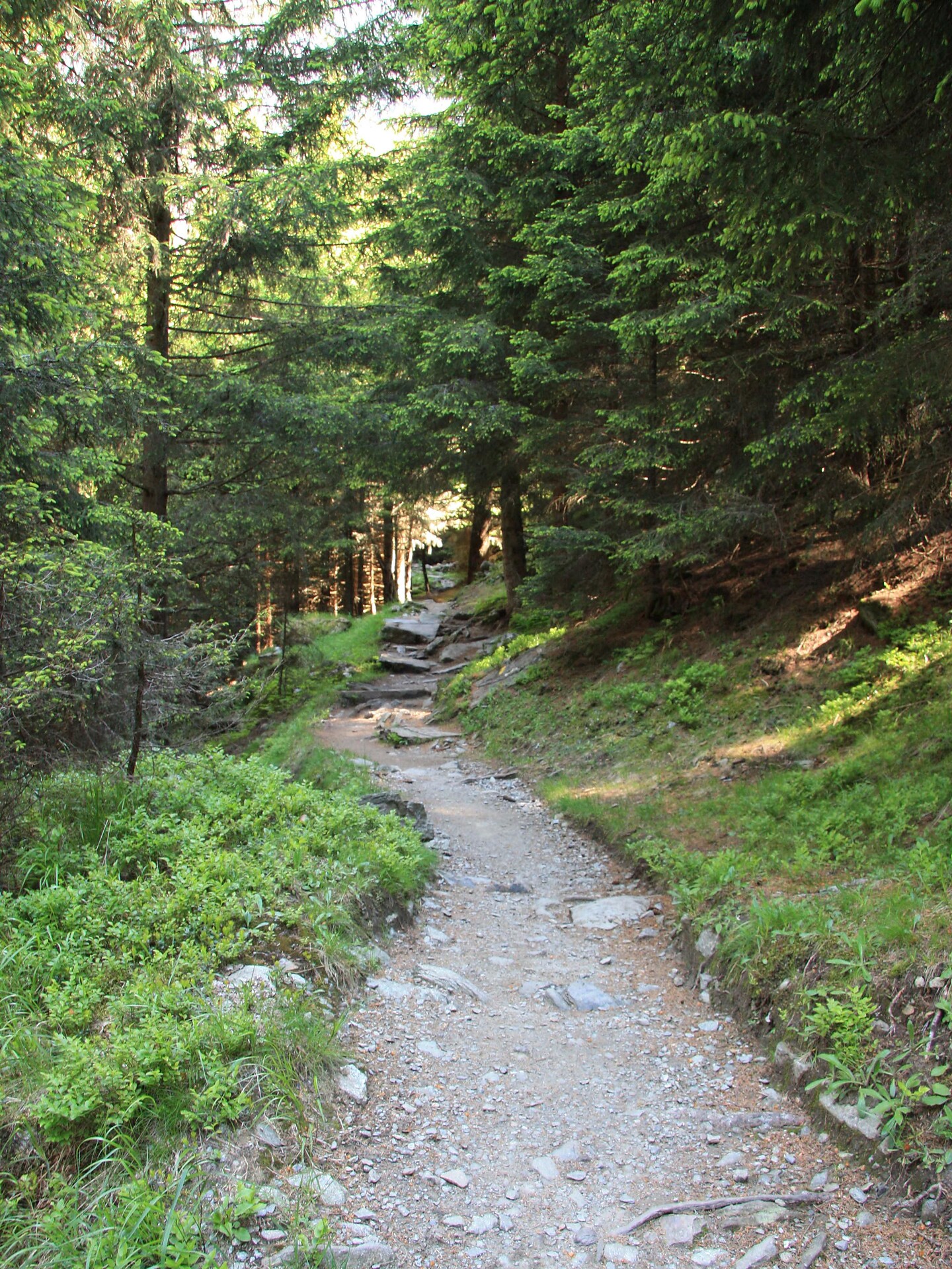 Terrainkurweg 2