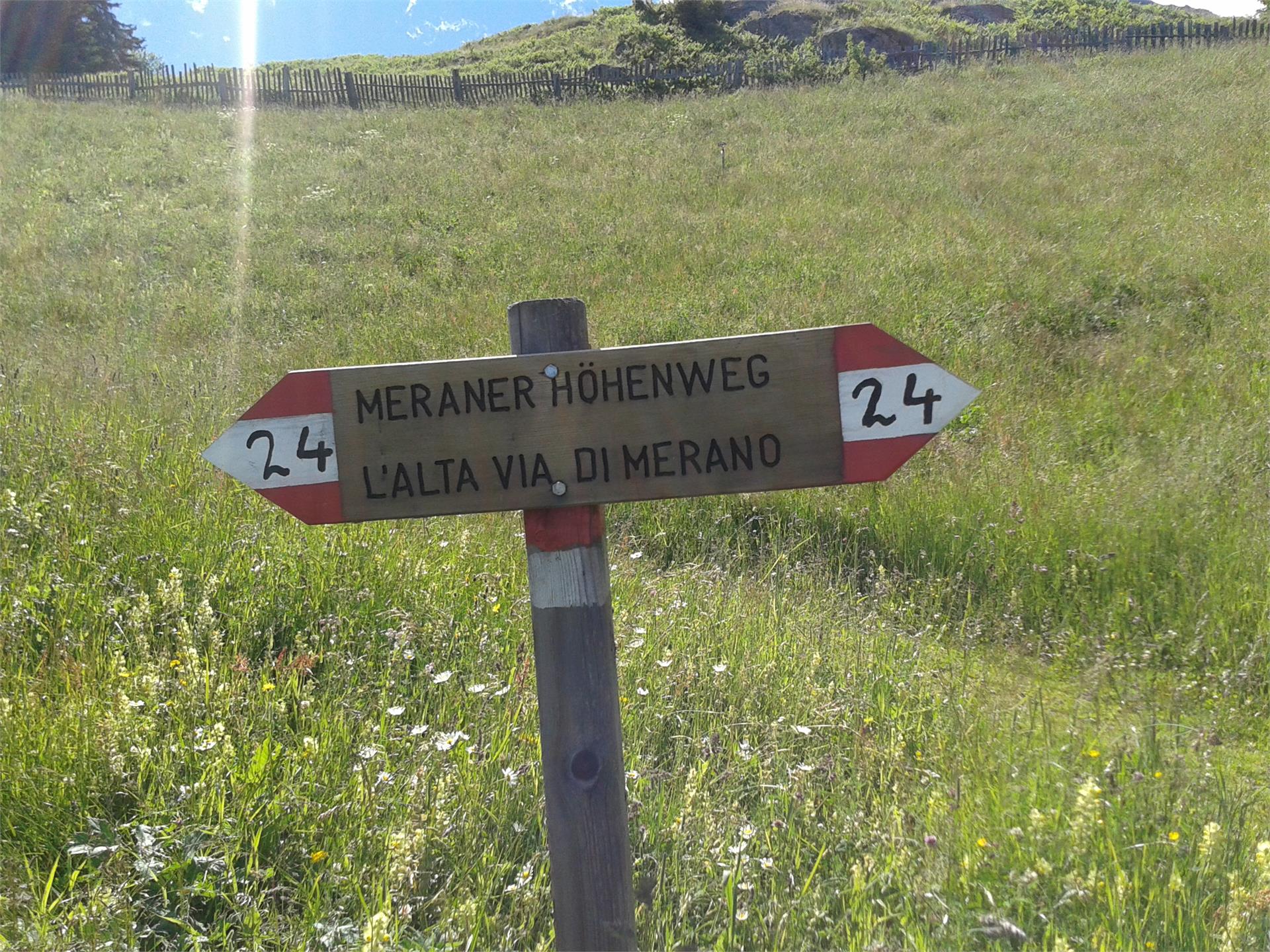 Terrainkurweg 2 - Bergstation Texelbahn - Nasereit - Bergstation Texelbahn Partschins 3 suedtirol.info