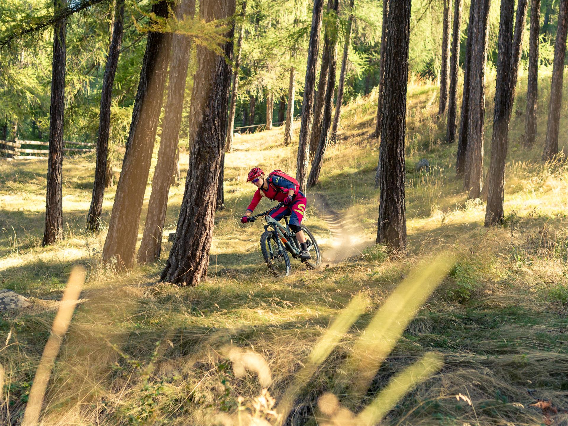Tschilli Trail Latsch/Laces 1 suedtirol.info
