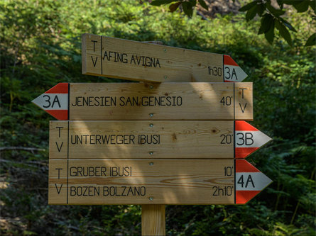 Themenweg "Avia" - Der Holzfällerweg Jenesien 7 suedtirol.info