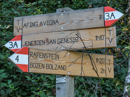 Themenweg "Avia" - Der Holzfällerweg Jenesien 4 suedtirol.info