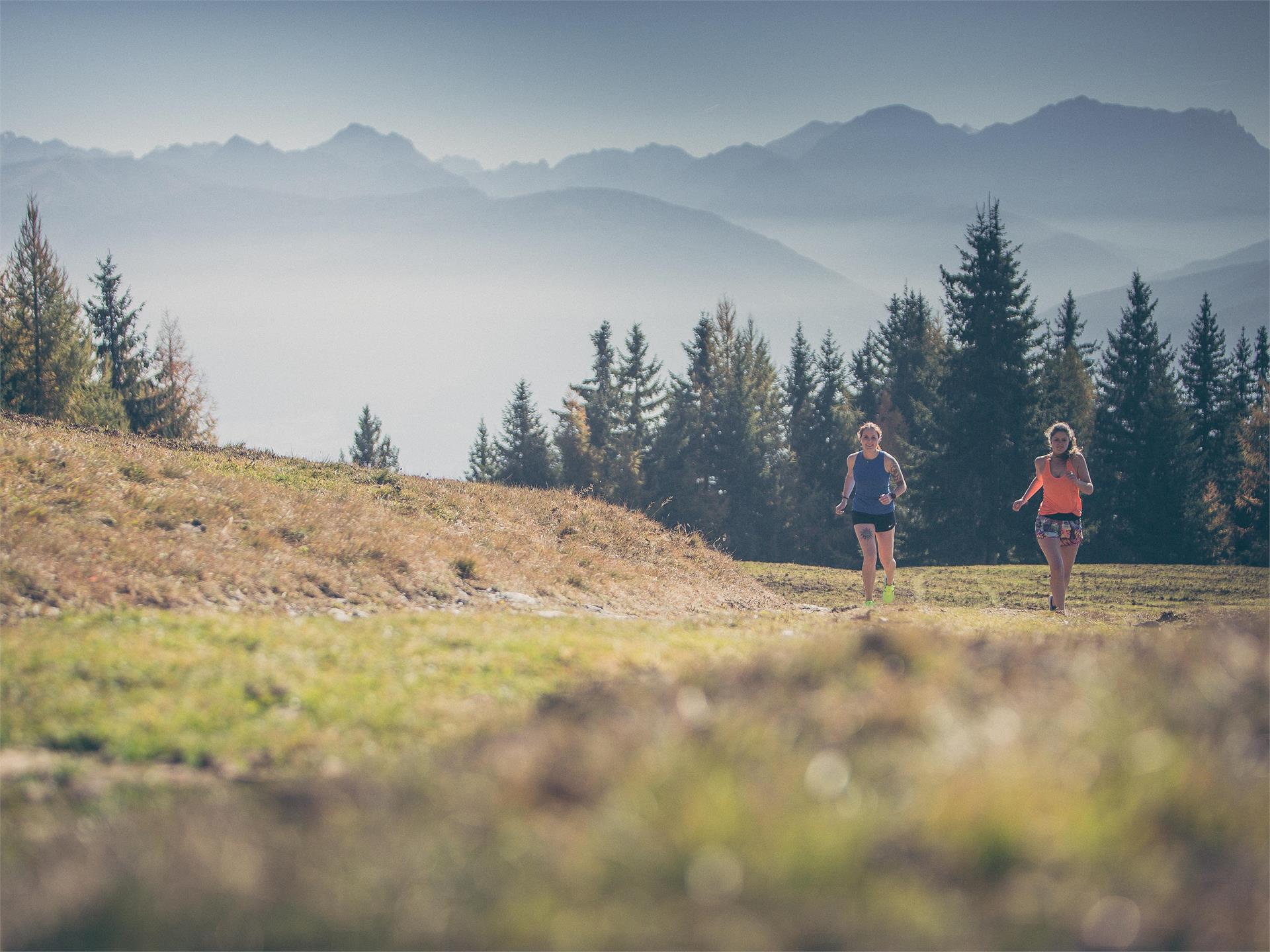 Alpe di Rodengo: Trailrunning con momenti in vetta Rio di Pusteria 2 suedtirol.info
