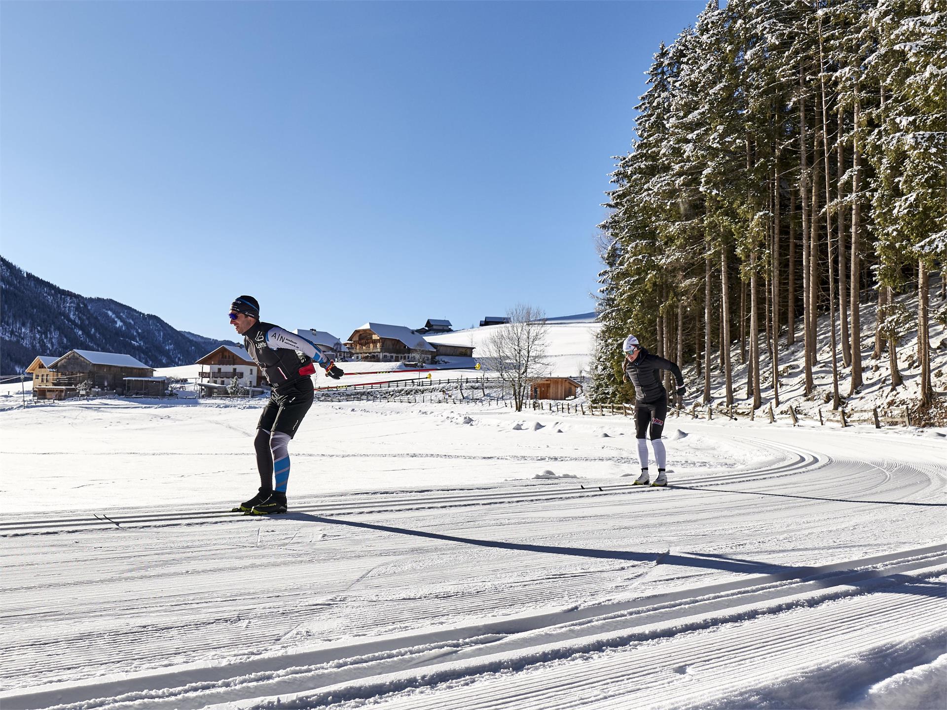 Tratto pista da sci di fondo Val Casies: Circuito Mooswald / Val Casies - 2 km circuito Valle di Casies 1 suedtirol.info