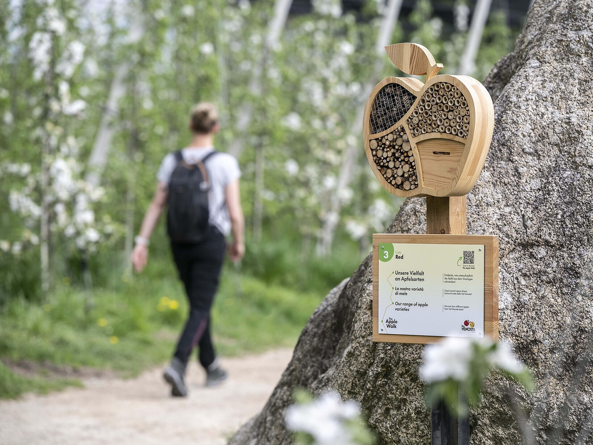 The Apple Walk - Val Venosta - #1 - suedtirol.info
