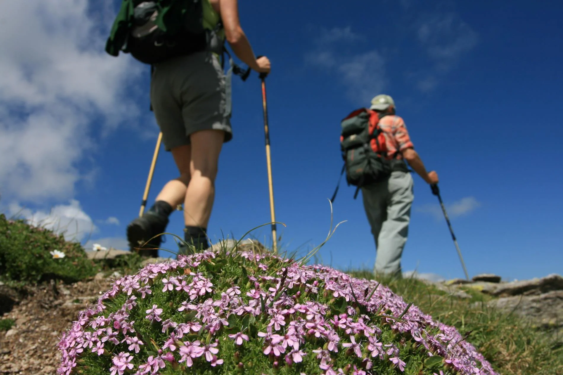 Tiroler Höhenweg im Passeiertal Moos in Passeier 1 suedtirol.info