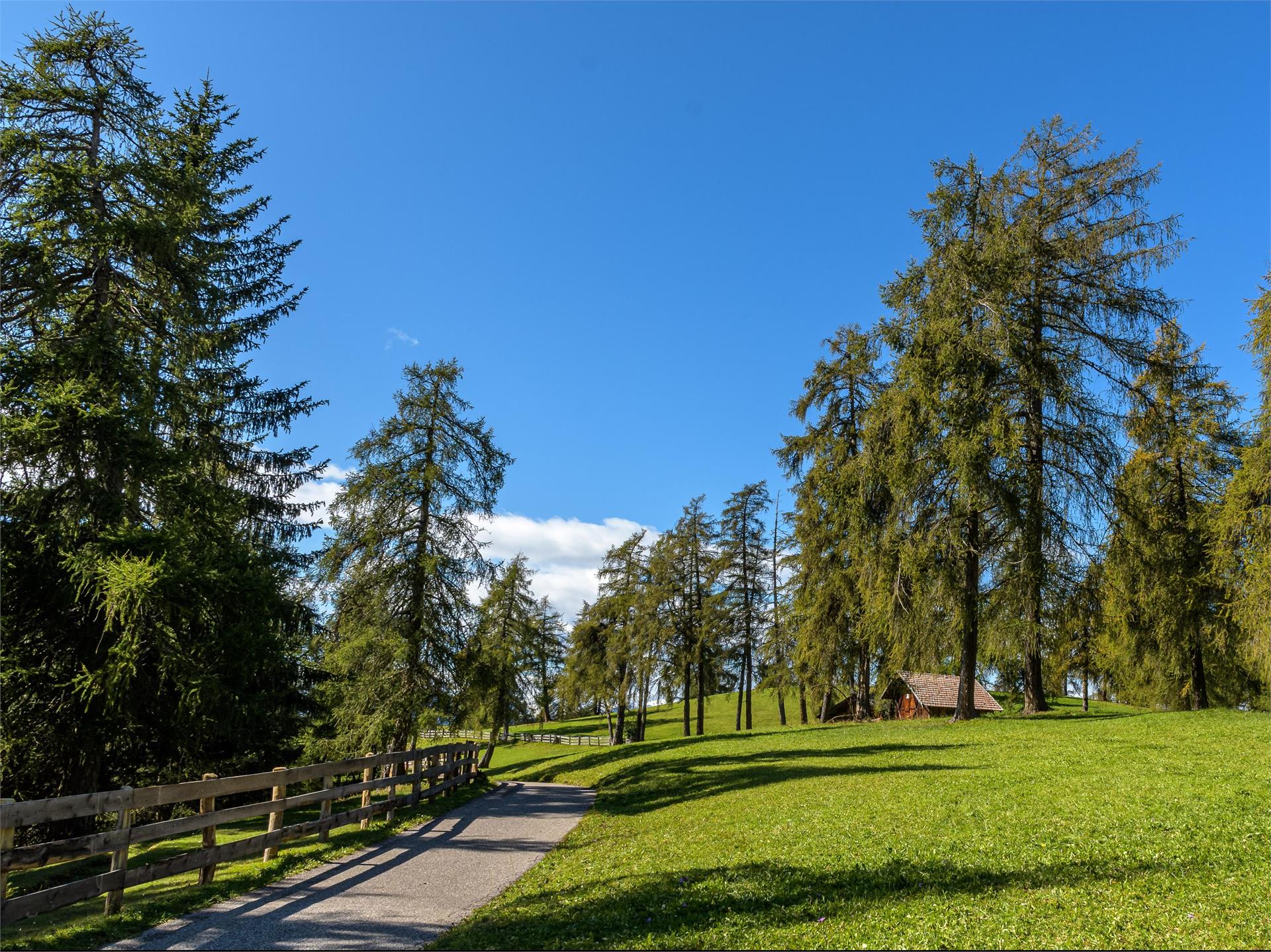 Adventure trail "Guggn" Tschaufen-San Genesio Terlan/Terlano 8 suedtirol.info