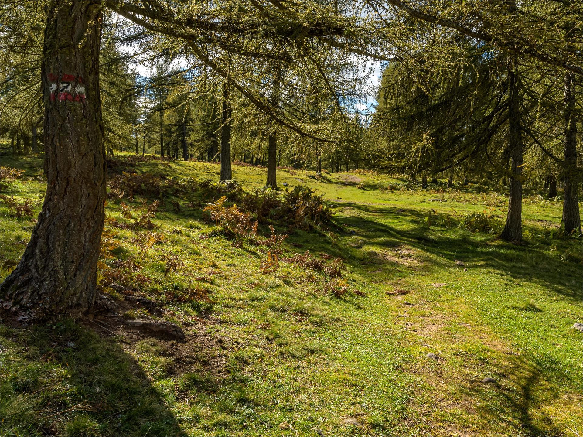 Adventure trail "Guggn" Tschaufen-San Genesio Terlan/Terlano 12 suedtirol.info