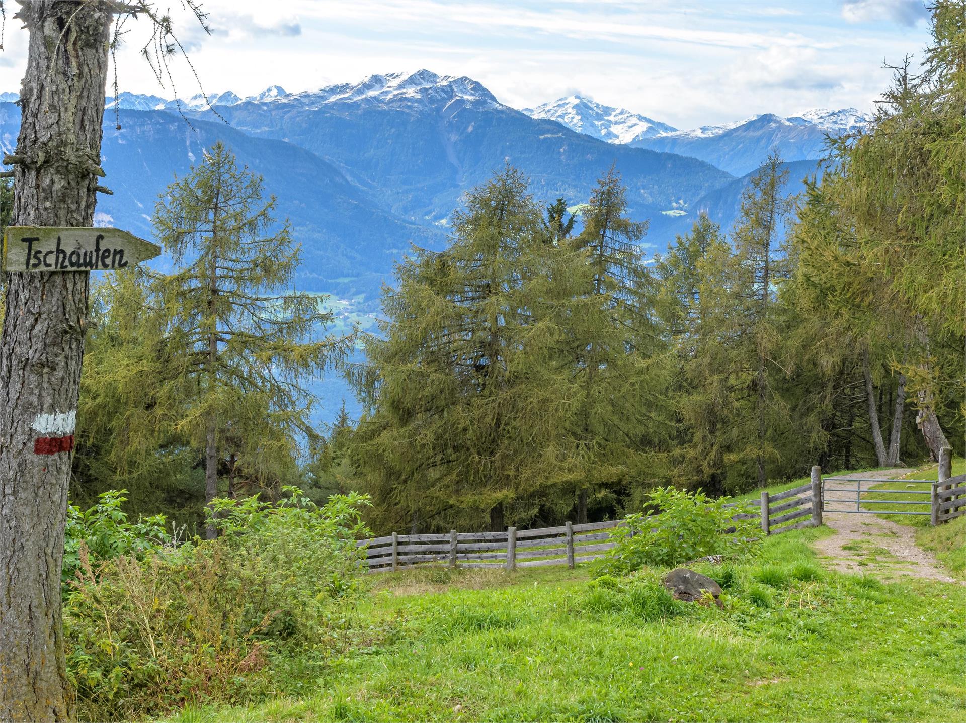 Adventure trail "Guggn" Tschaufen-San Genesio Terlan/Terlano 16 suedtirol.info