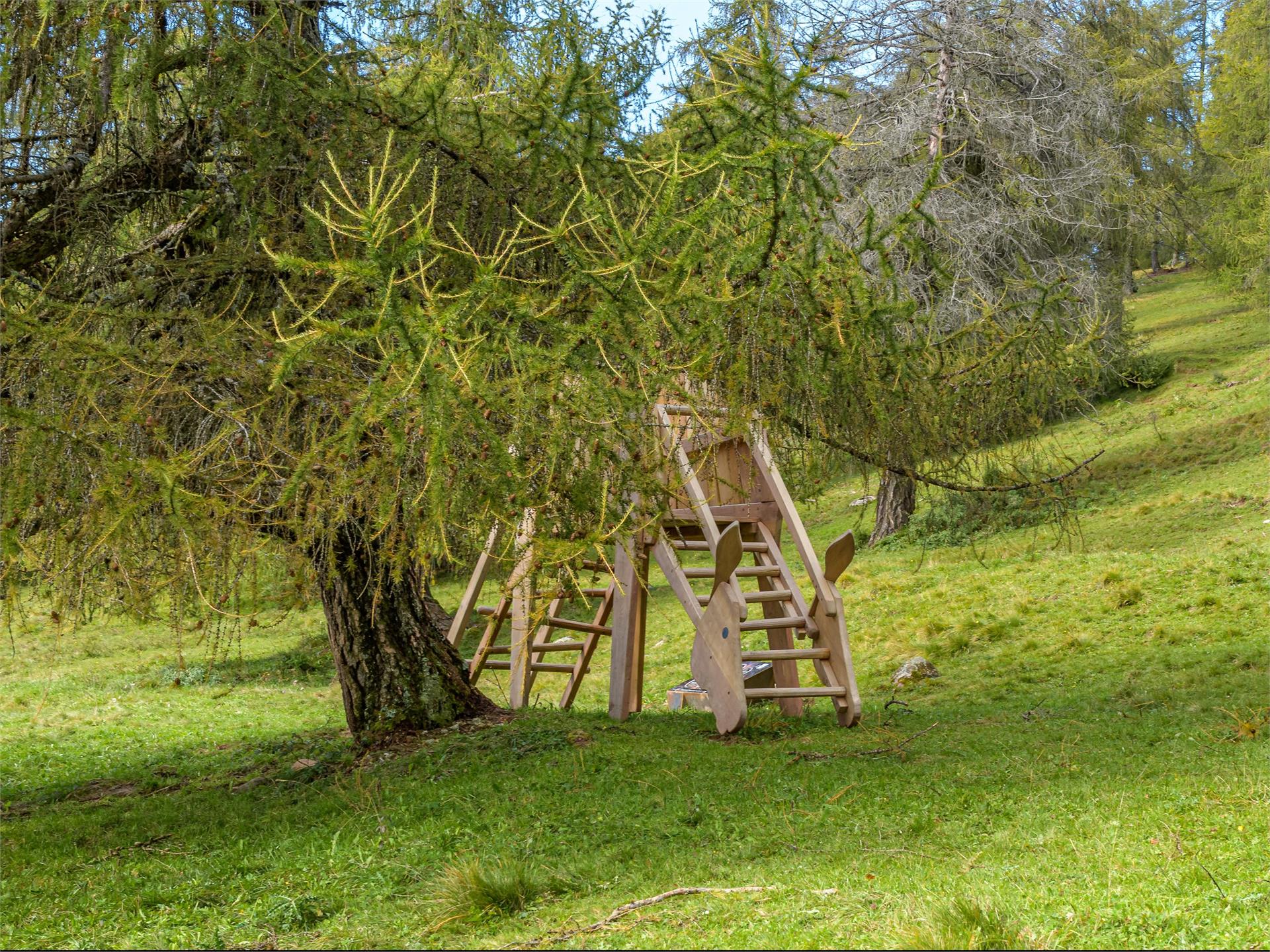 Adventure trail "Guggn" Tschaufen-San Genesio Terlan/Terlano 18 suedtirol.info