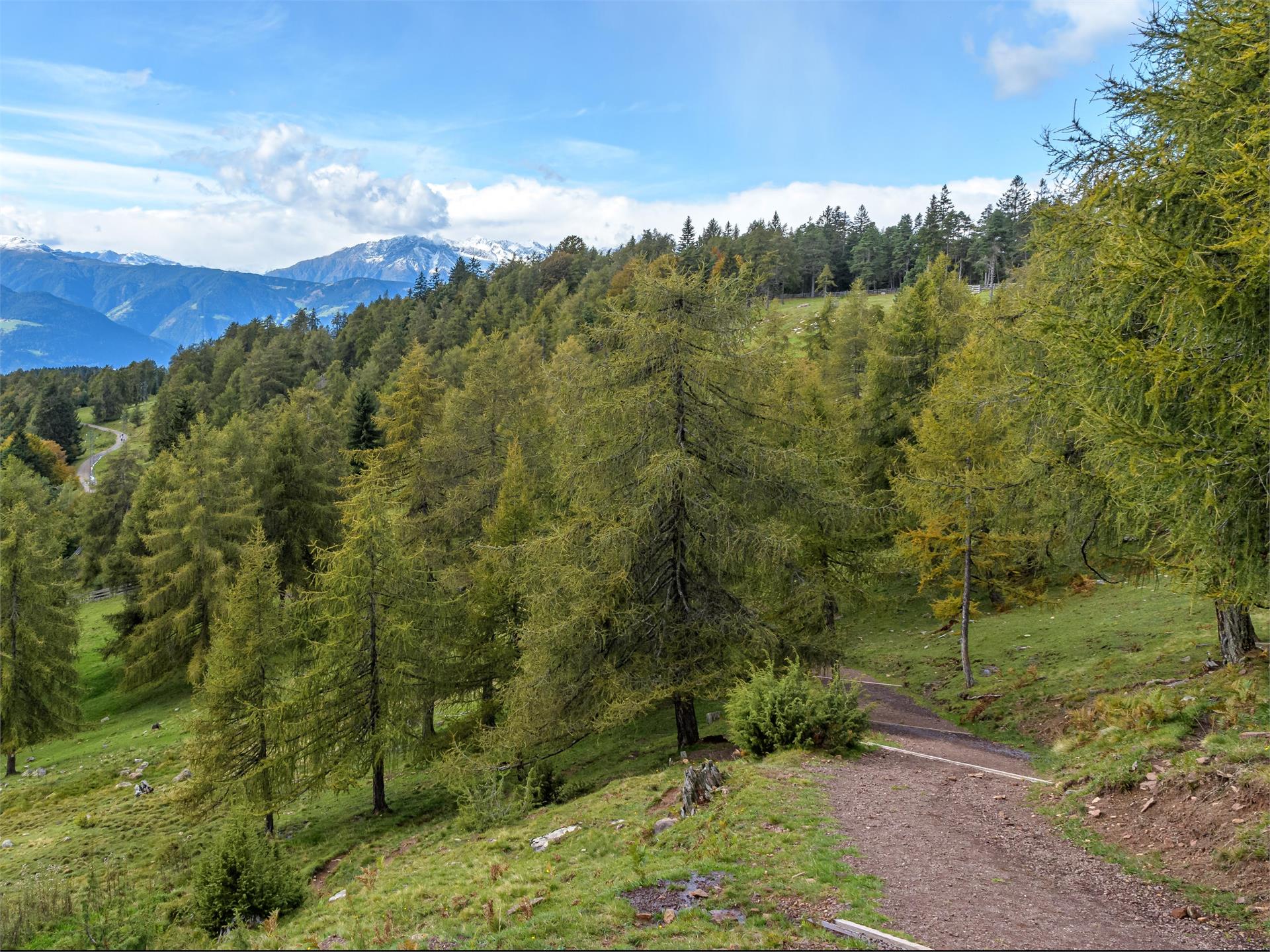 Adventure trail "Guggn" Tschaufen-San Genesio Terlan/Terlano 17 suedtirol.info
