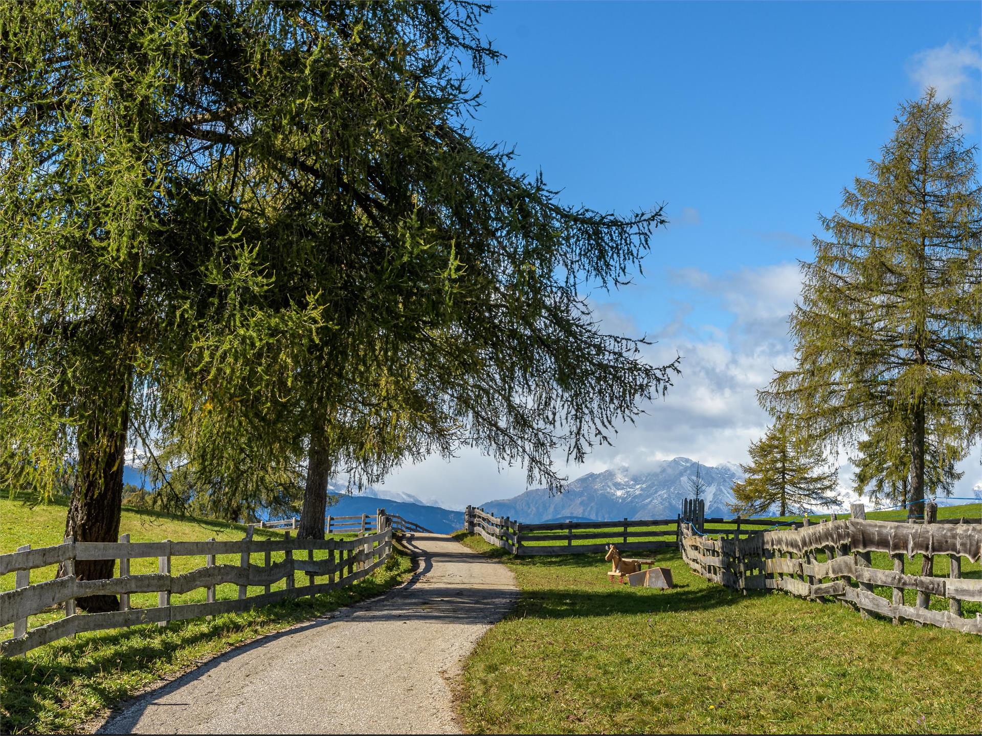Adventure trail "Guggn" Tschaufen-San Genesio Terlan/Terlano 9 suedtirol.info