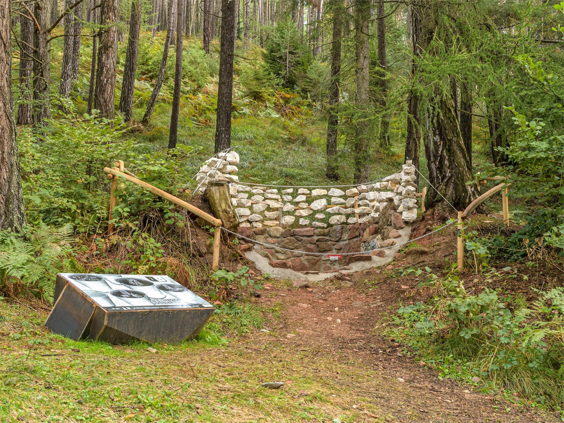 Adventure trail "Guggn" Tschaufen-San Genesio Terlan/Terlano 7 suedtirol.info