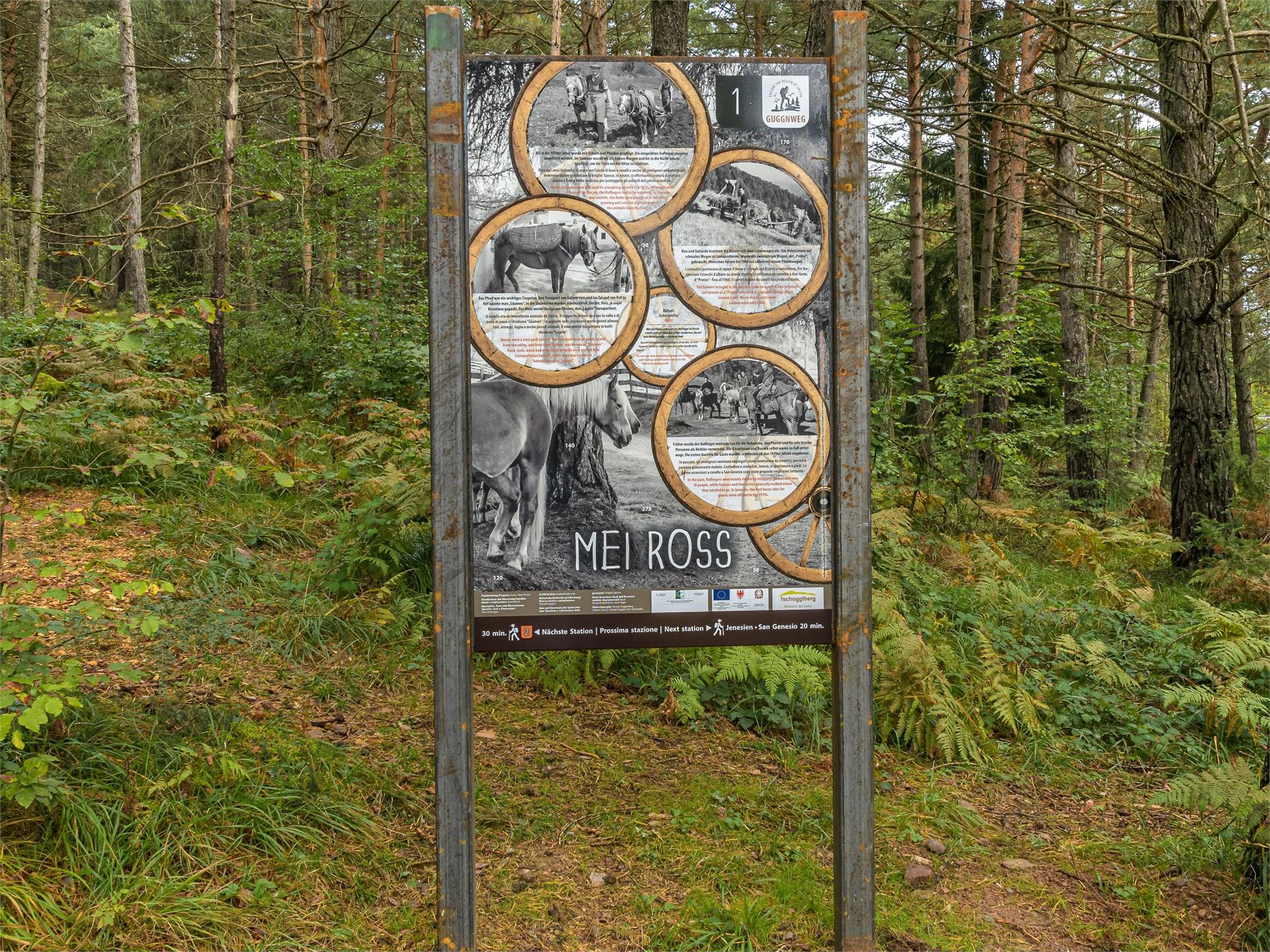 Adventure trail "Guggn" Tschaufen-San Genesio Terlan/Terlano 2 suedtirol.info
