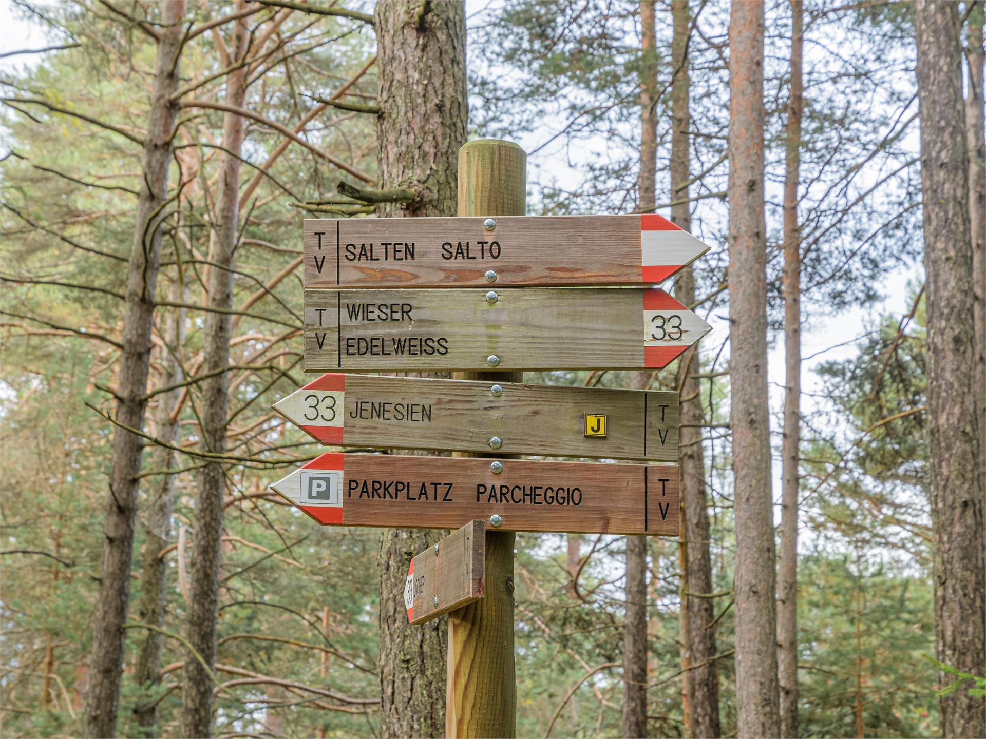 Adventure trail "Guggn" Tschaufen-San Genesio Terlan/Terlano 6 suedtirol.info